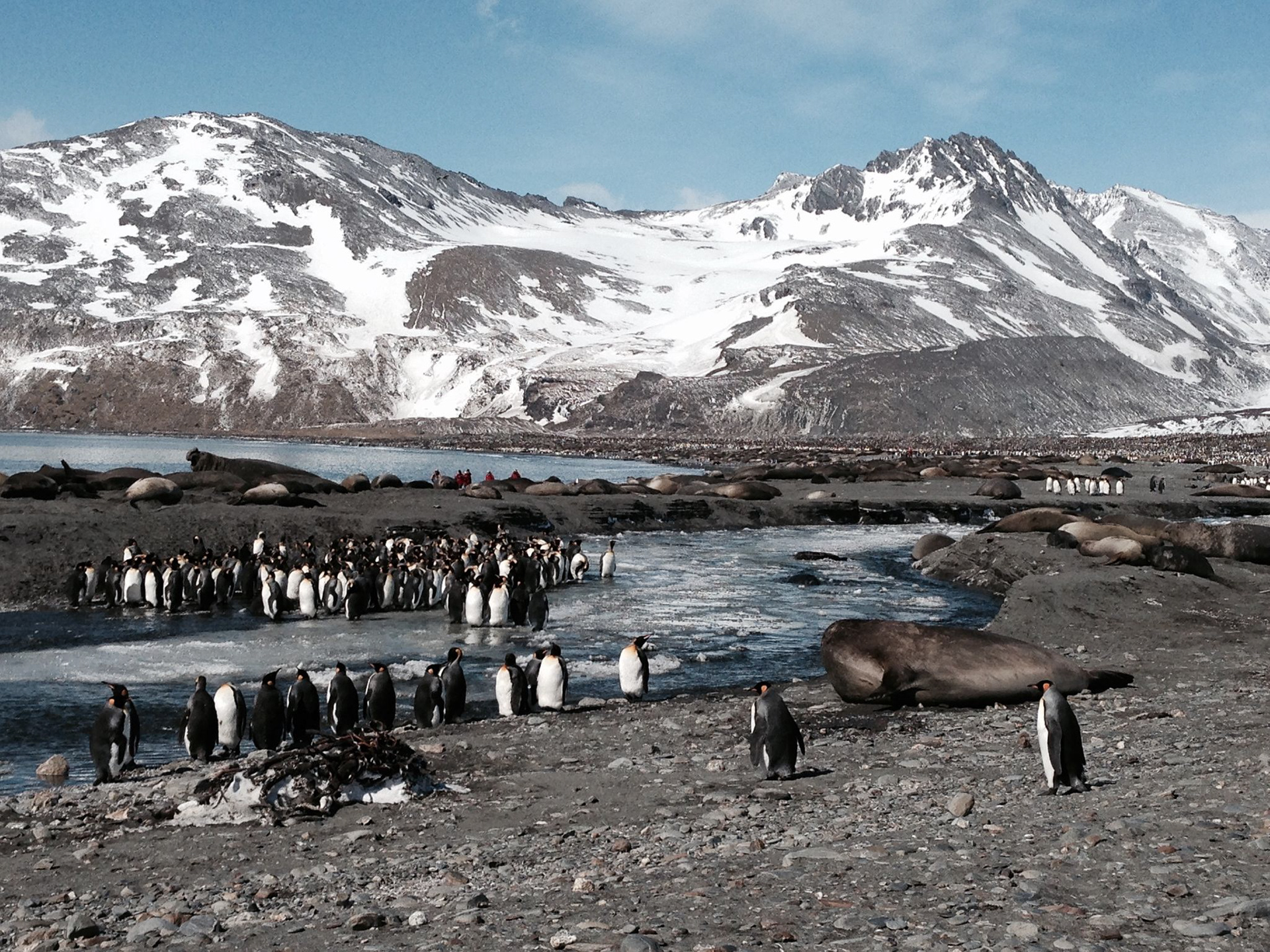 Antartic Traces by Michaela Grill