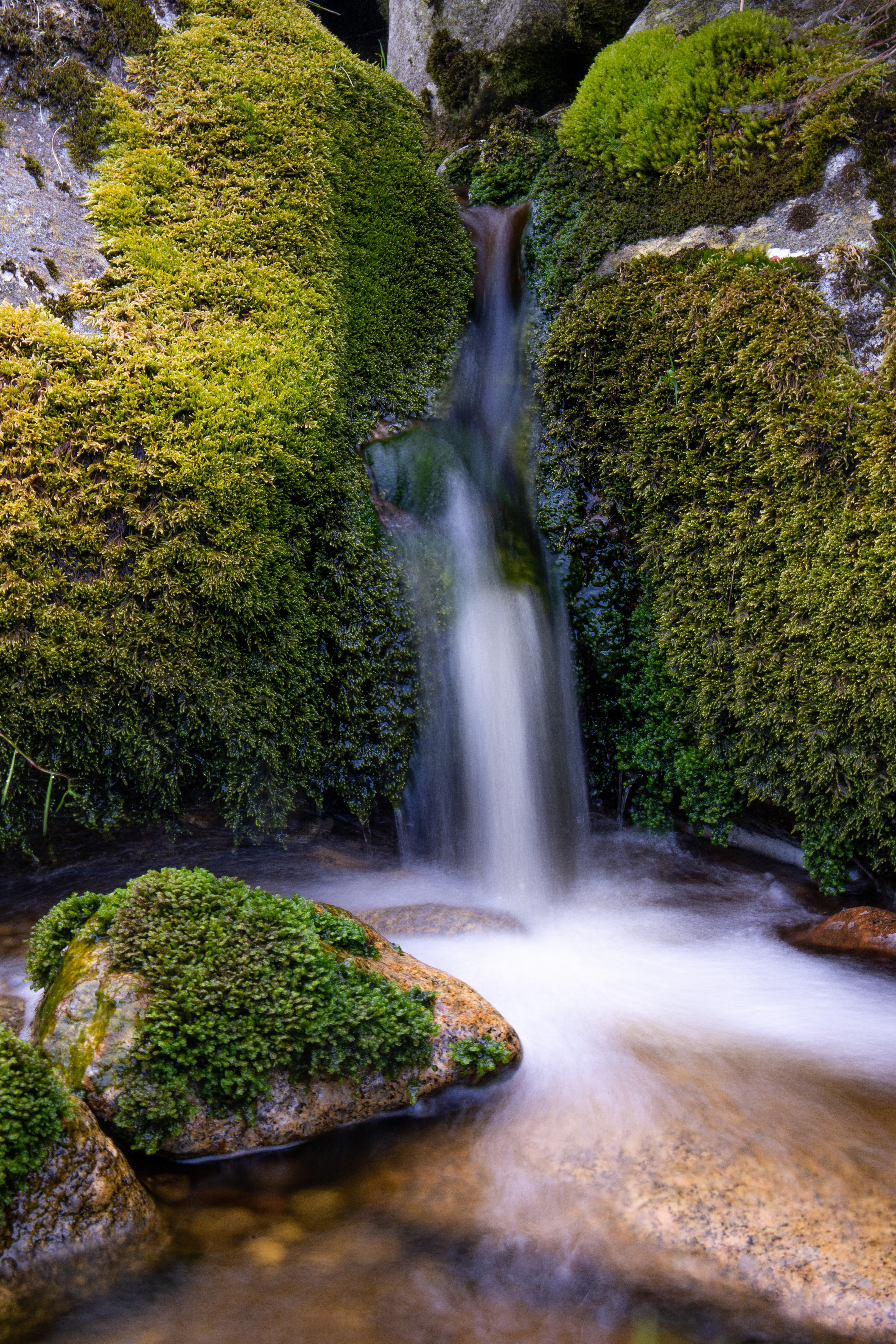 Mossy Falls, Ireland