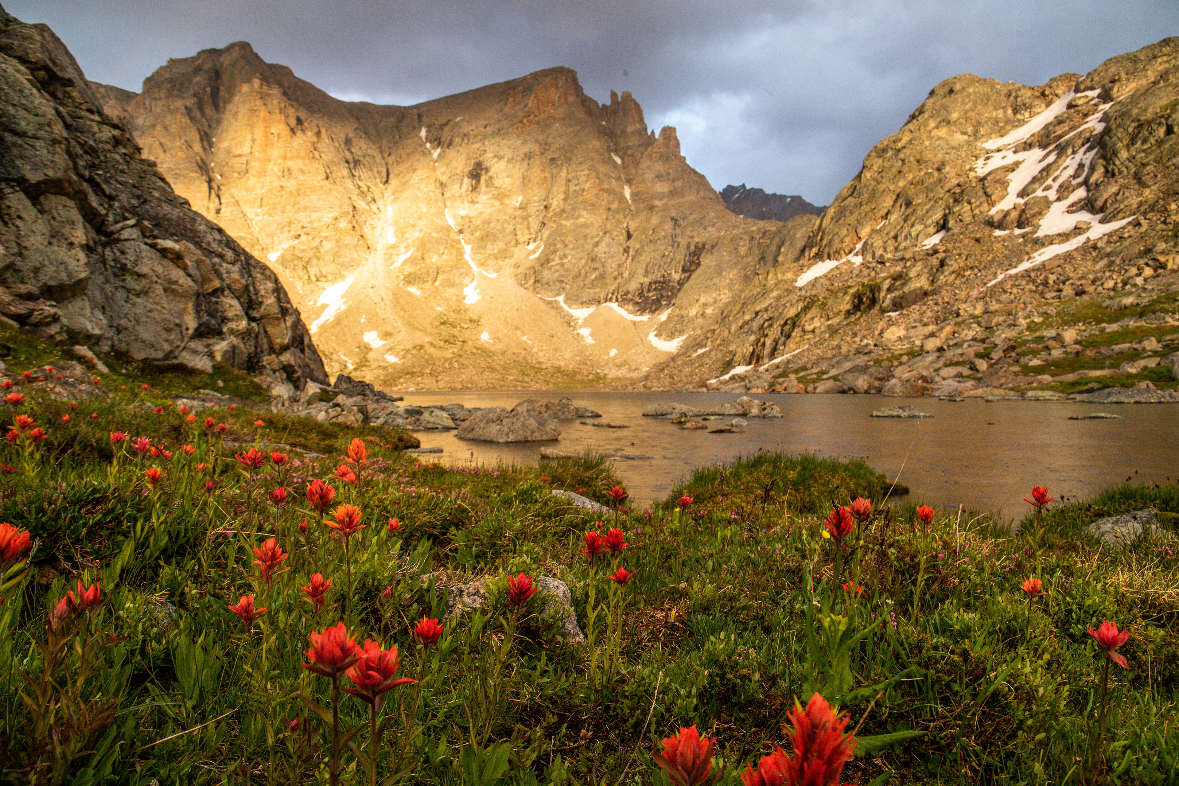 Pedestal Peak Paintbrush