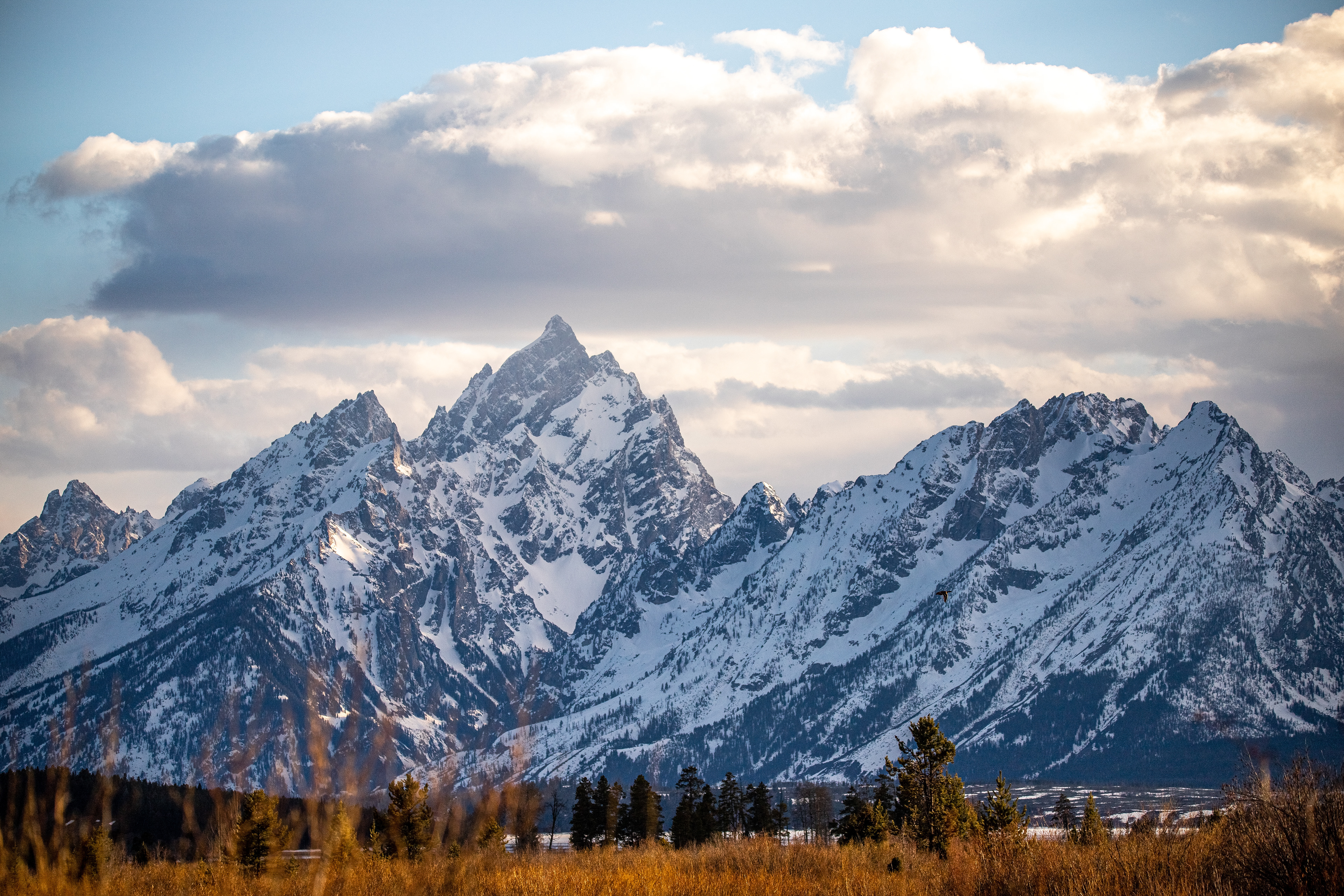 Teton Spring