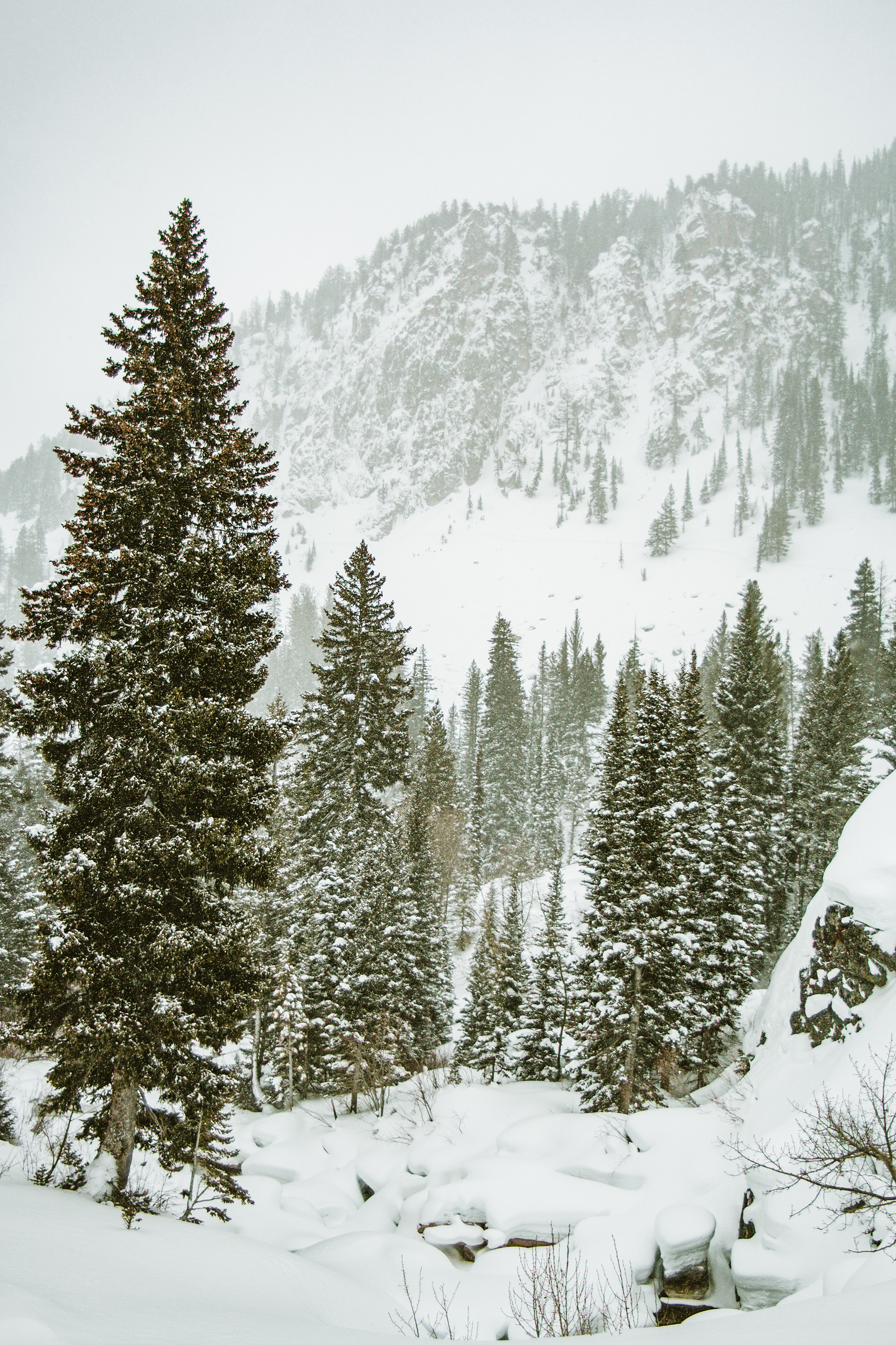 Snowy Teton Canyon