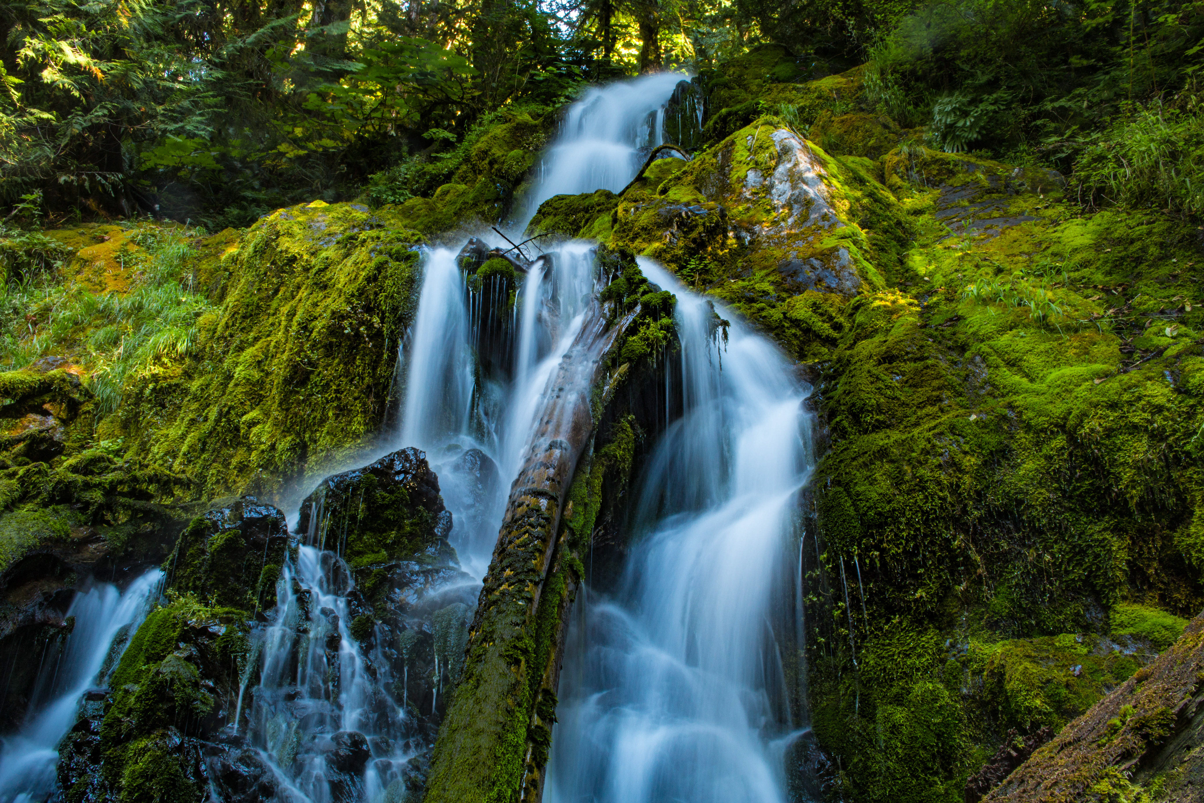 Hoh Falls