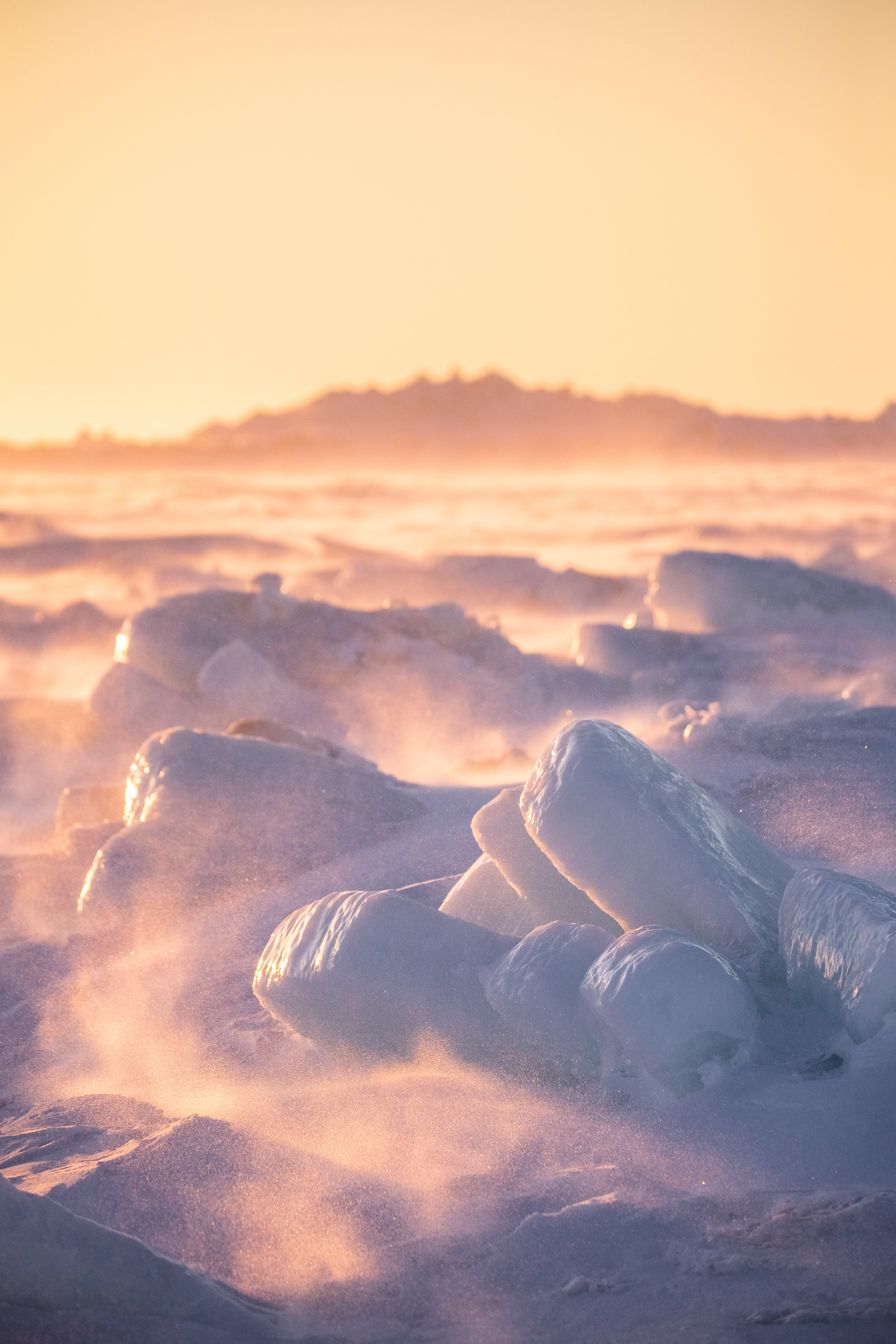 Arctic Gold Portrait