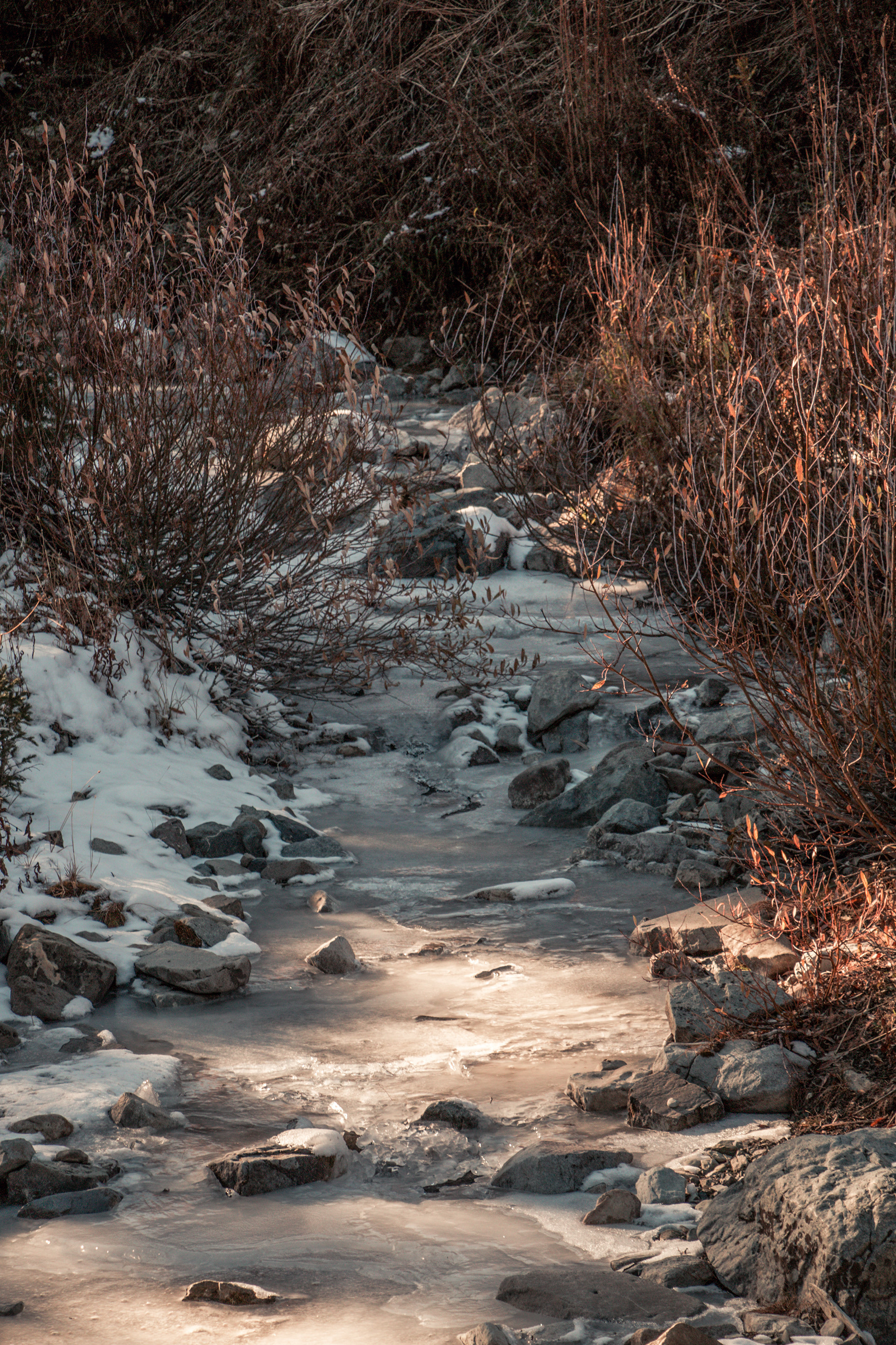 Icy Creek