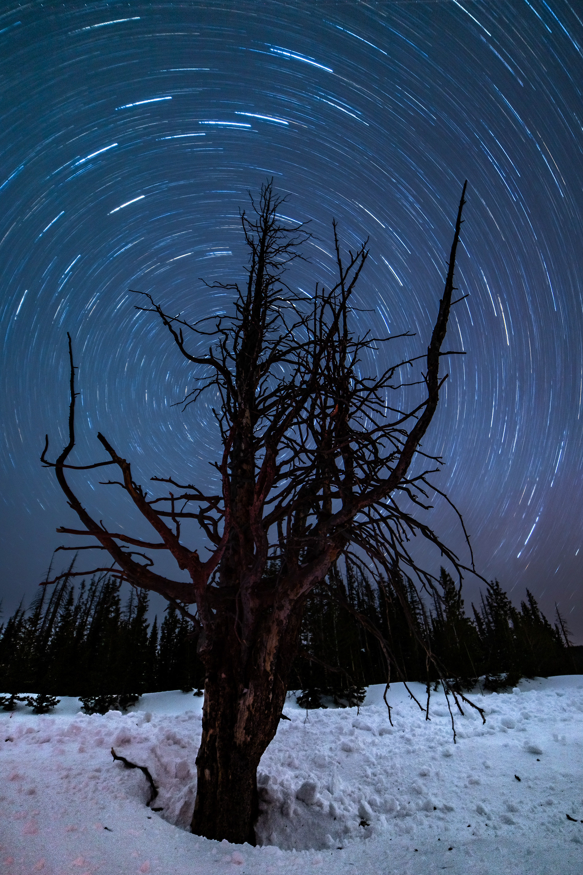 Snowy Range Skeleton