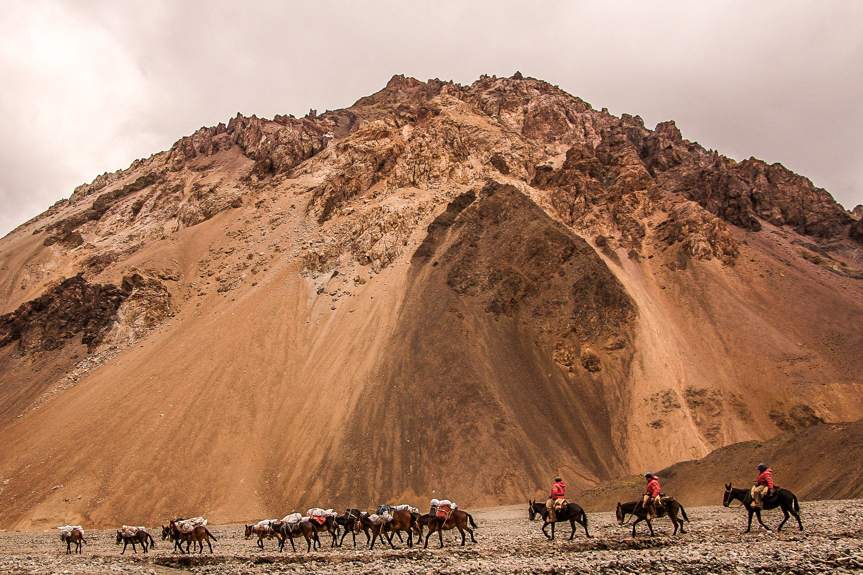 Mule Train, Argentina