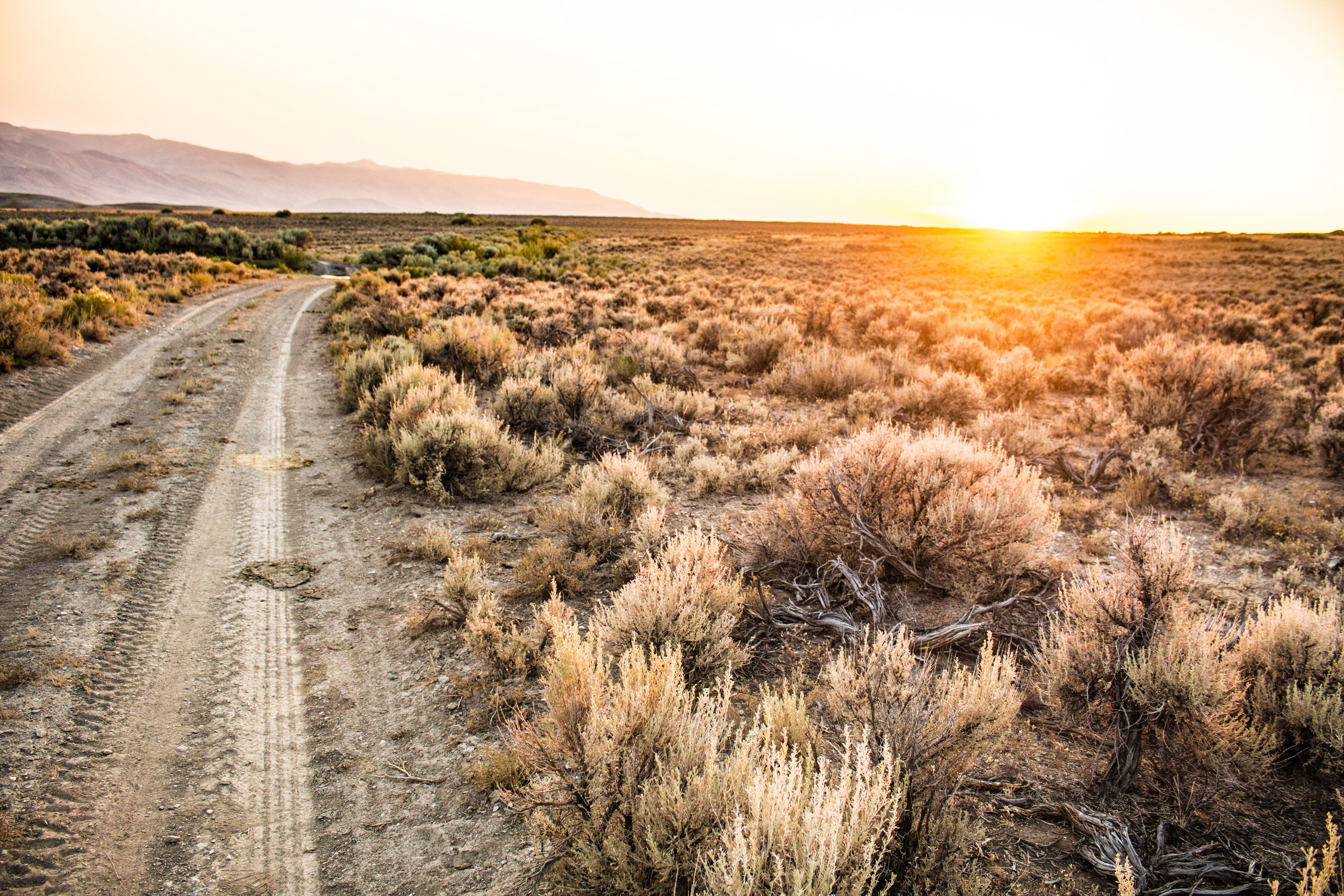 Back Road Sunset