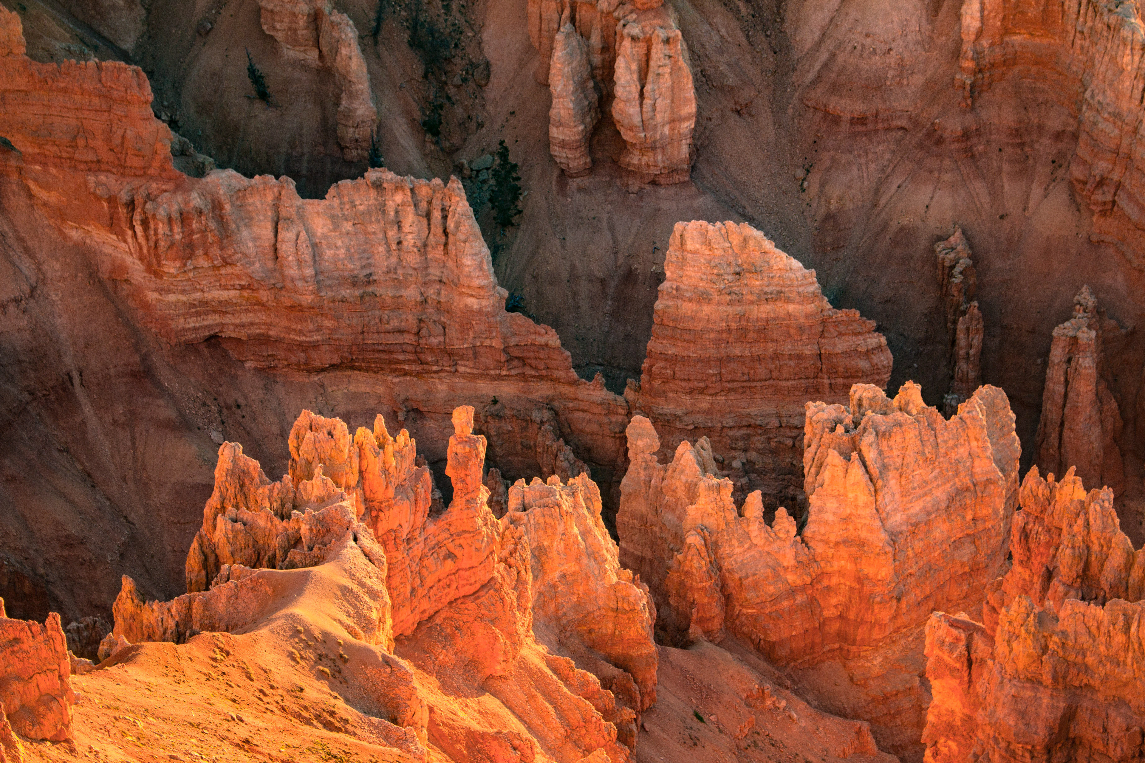 Hoodoo Light