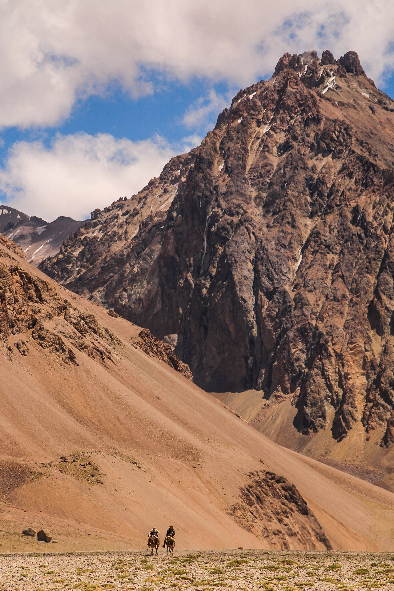 Muleteers, Argentina