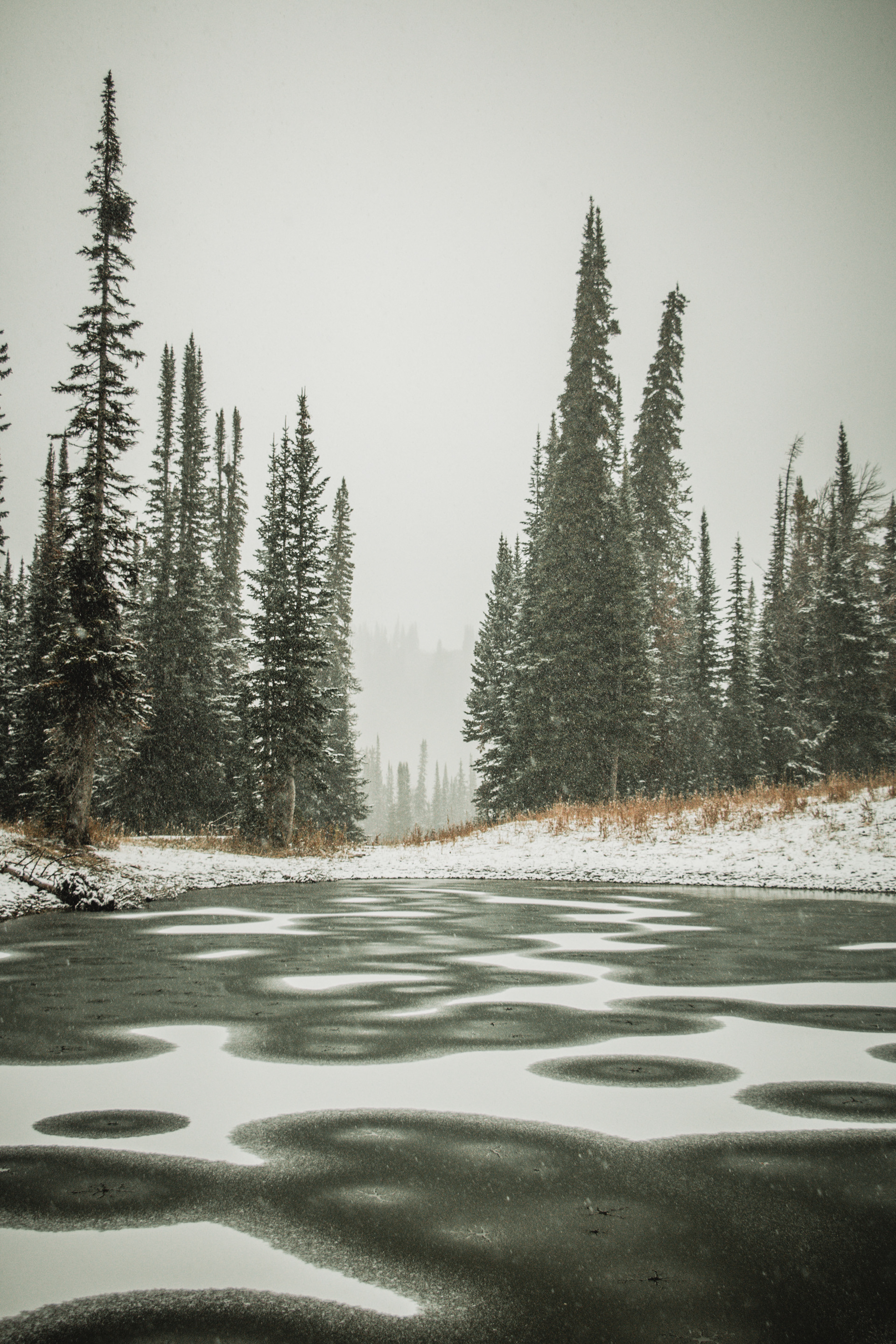 Freezing Pond