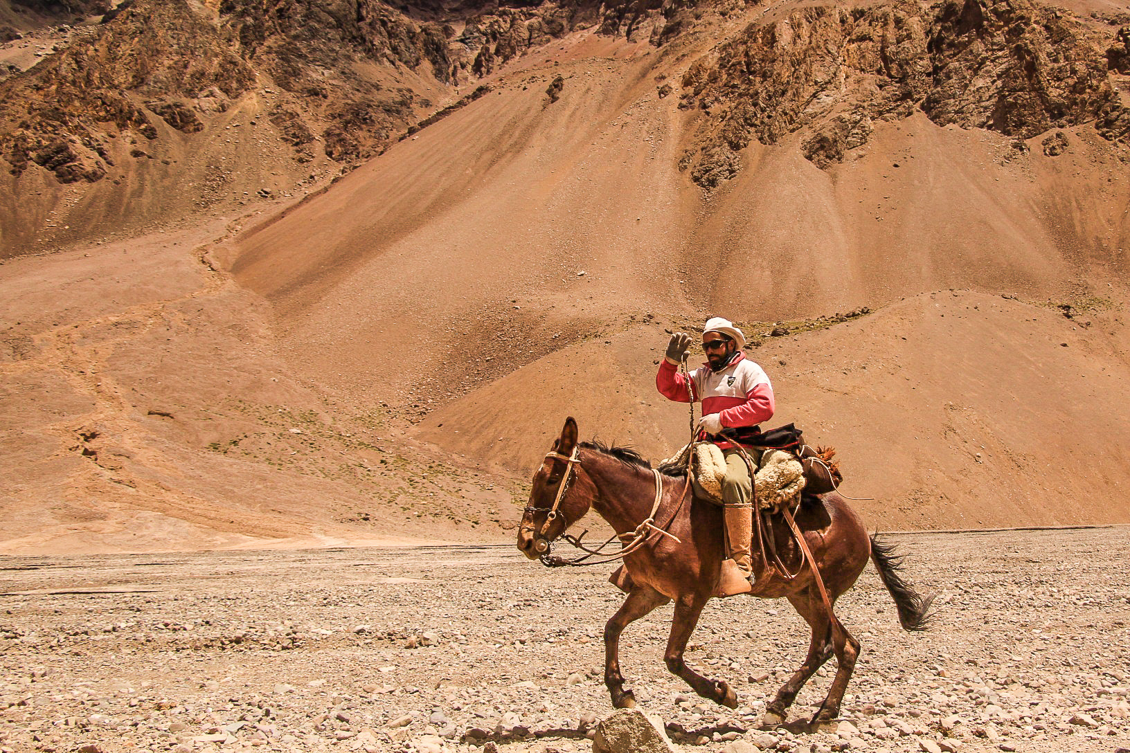 Muleteer, Argentina