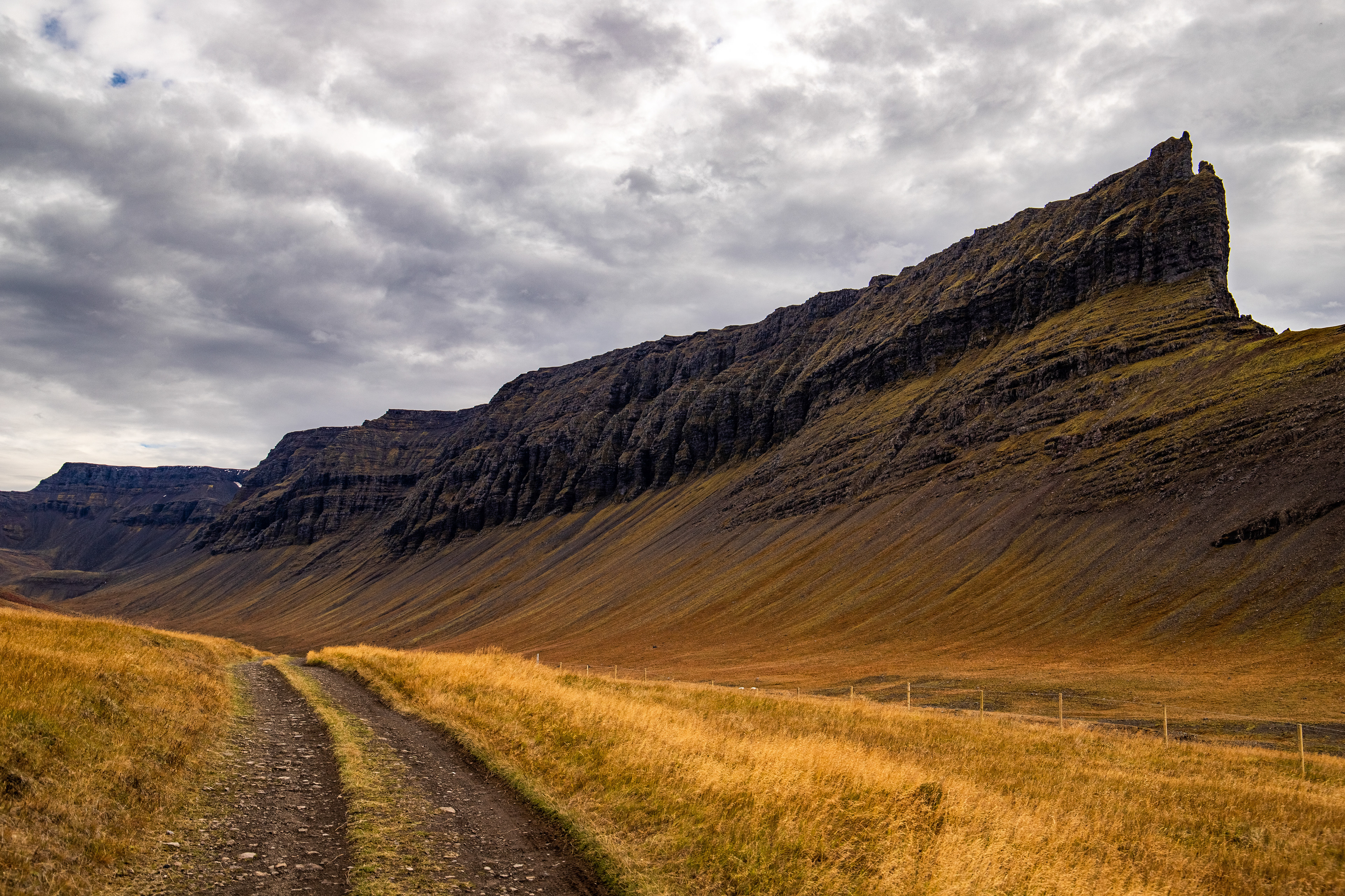 Country Lane, Iceland