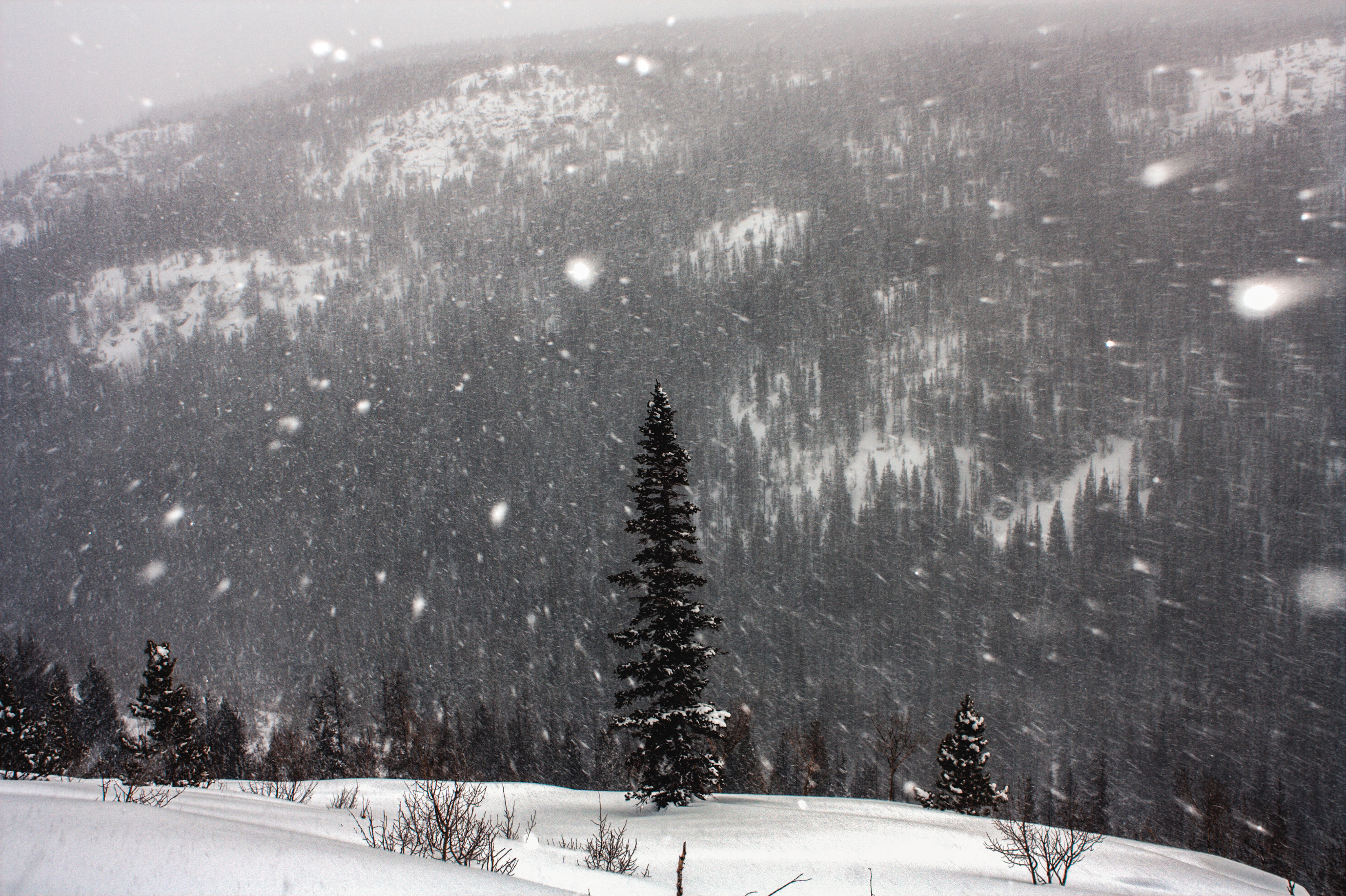 Snowy Range Blizzard