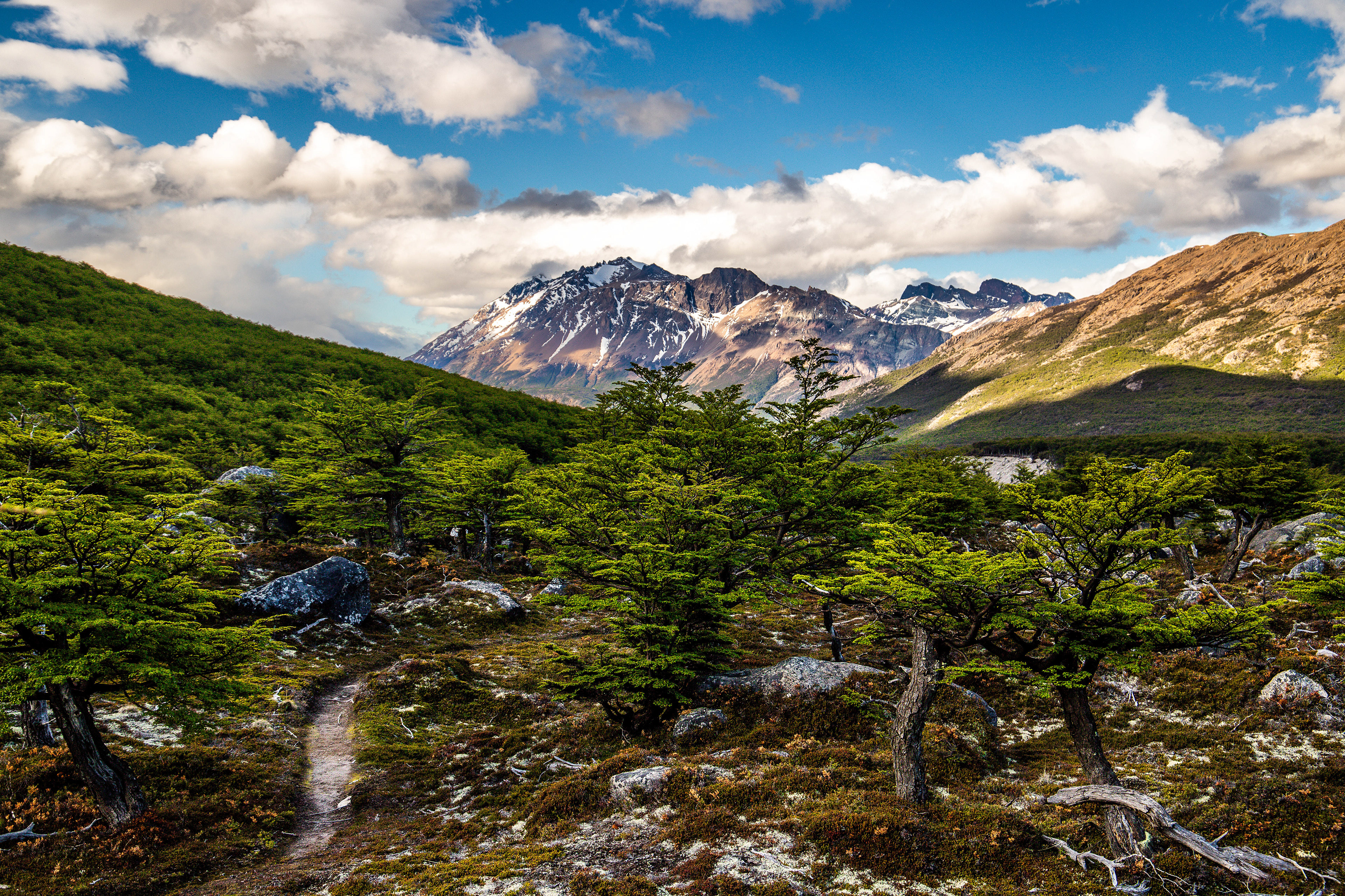 Beech Trail, Argentina