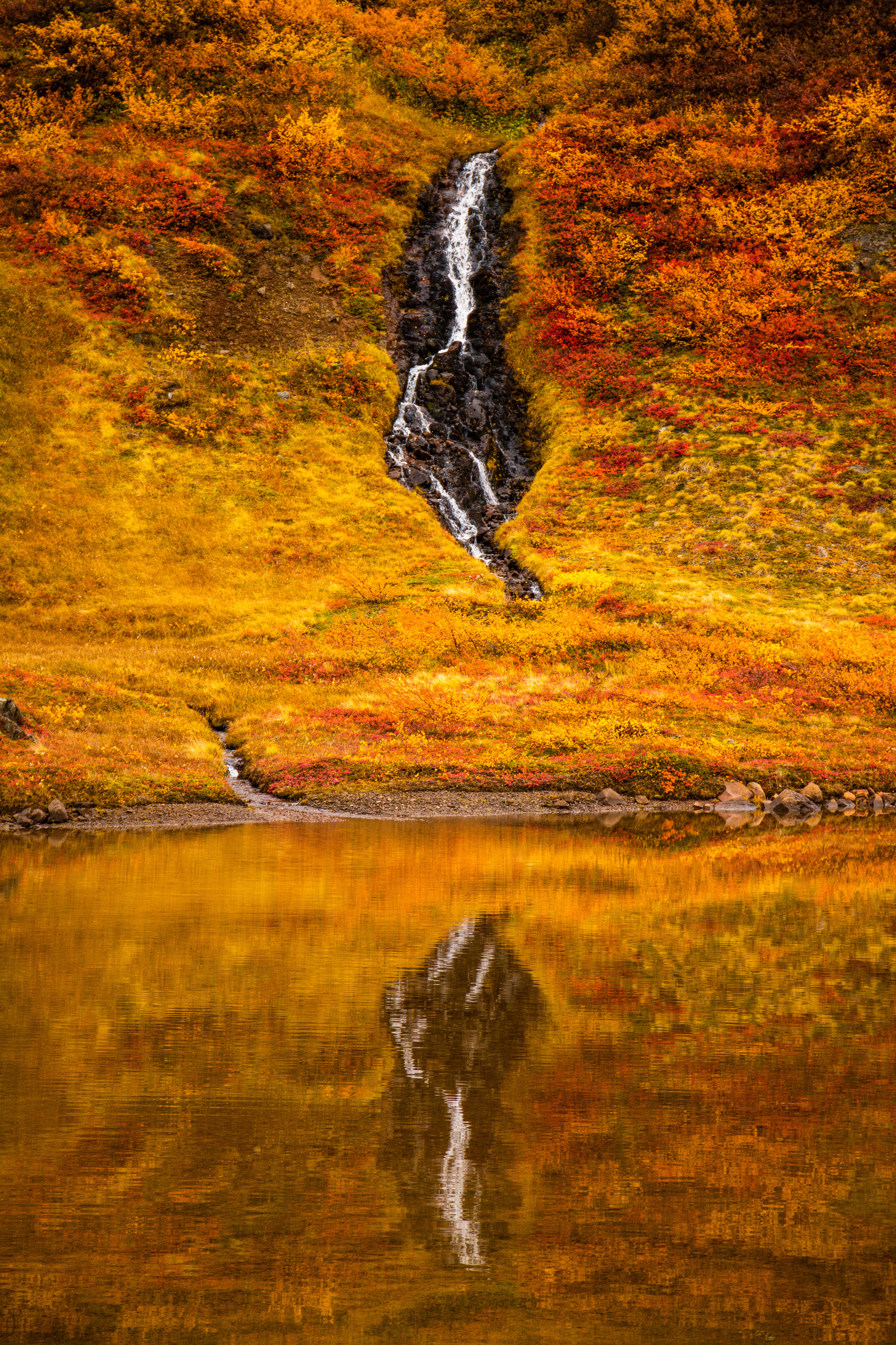 Autumn Falls 1, Iceland