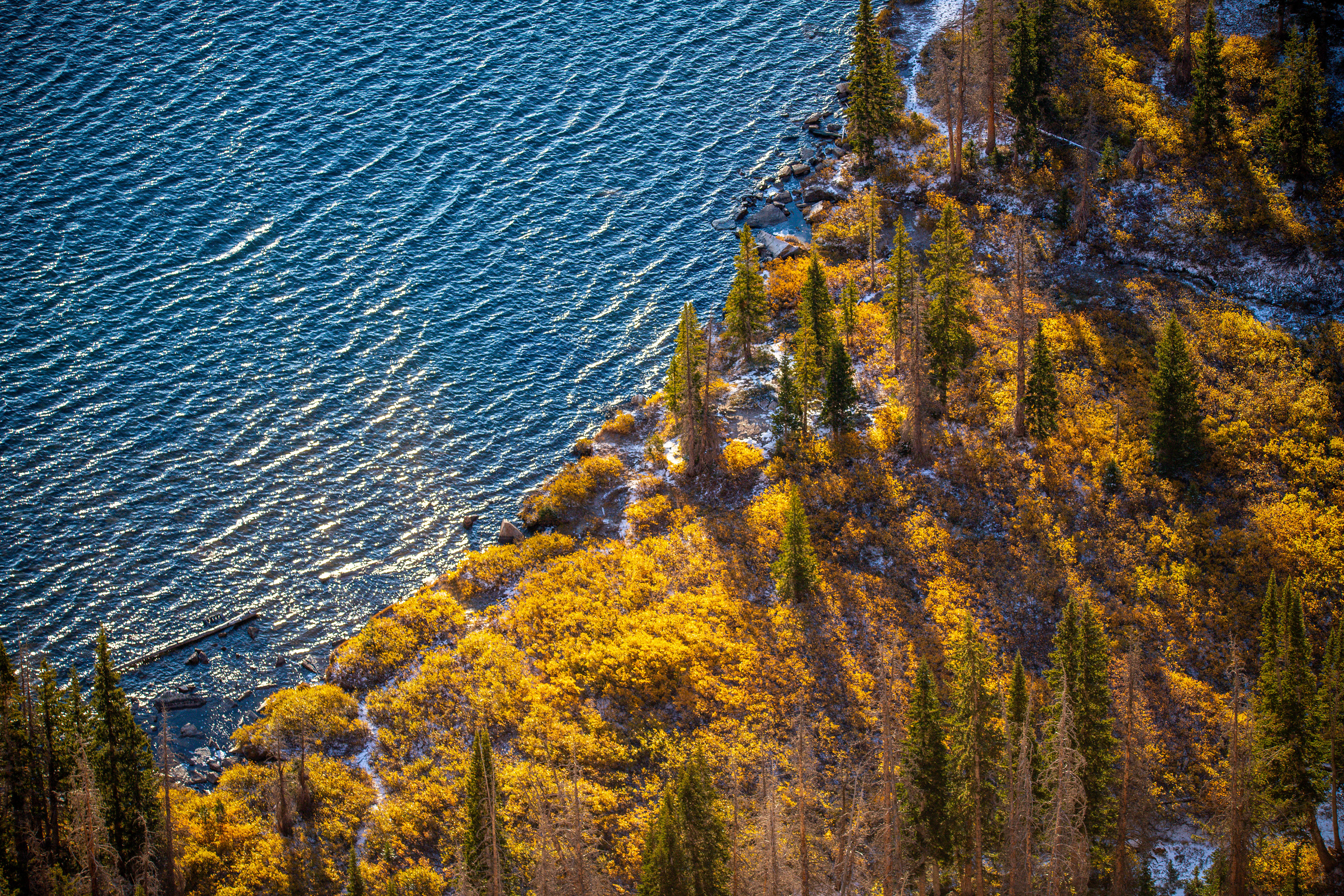 Eagle Eye Lakeview