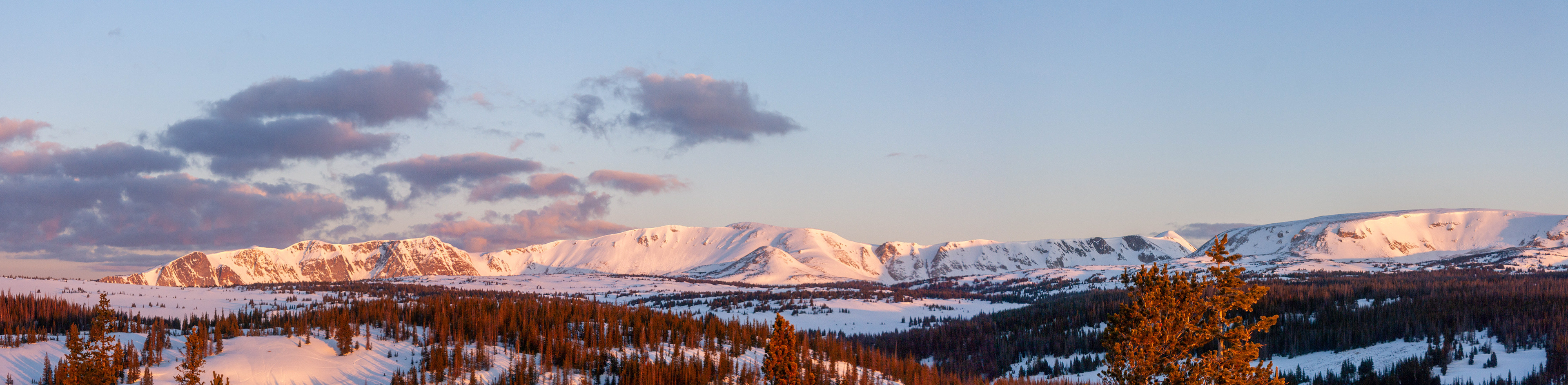 Snowy Range Panorama