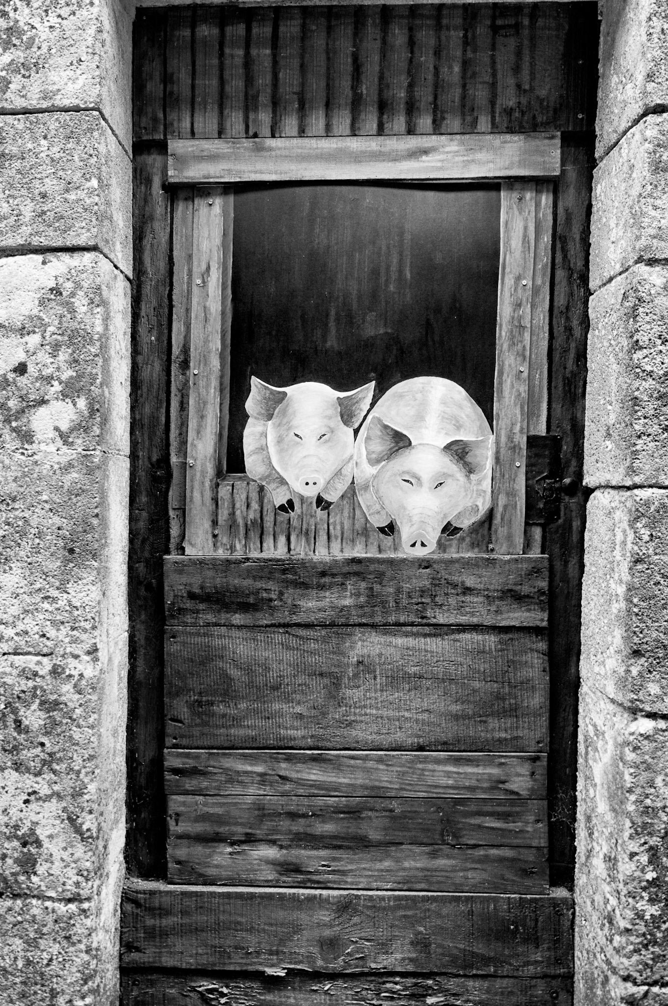 Nikon D300s | Saint-Savinien-sur-Charente - Les cochons de la ruelle Rose