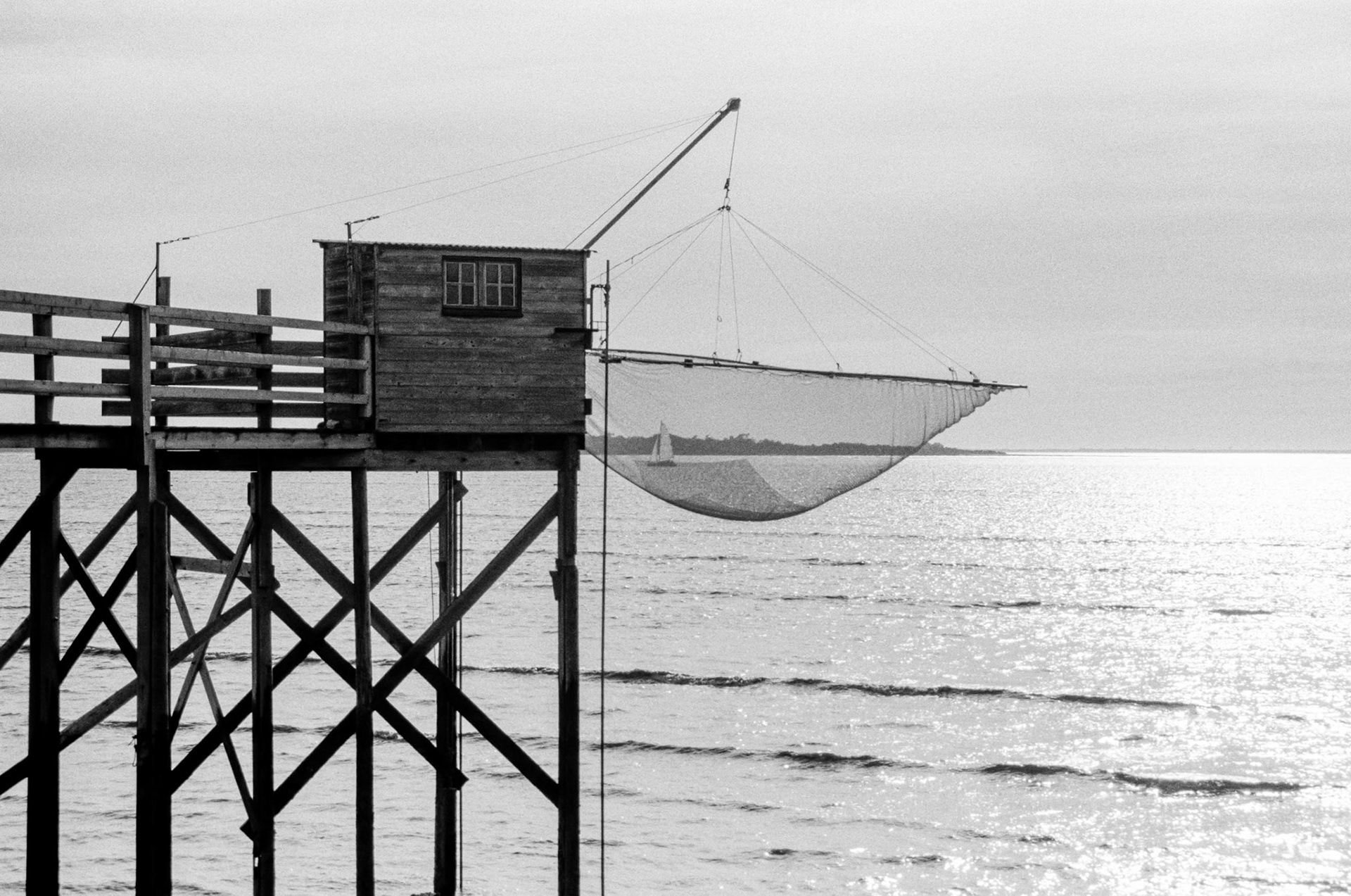 Minolta 7000 | Baie d'Yves - Pris dans le filet !!!