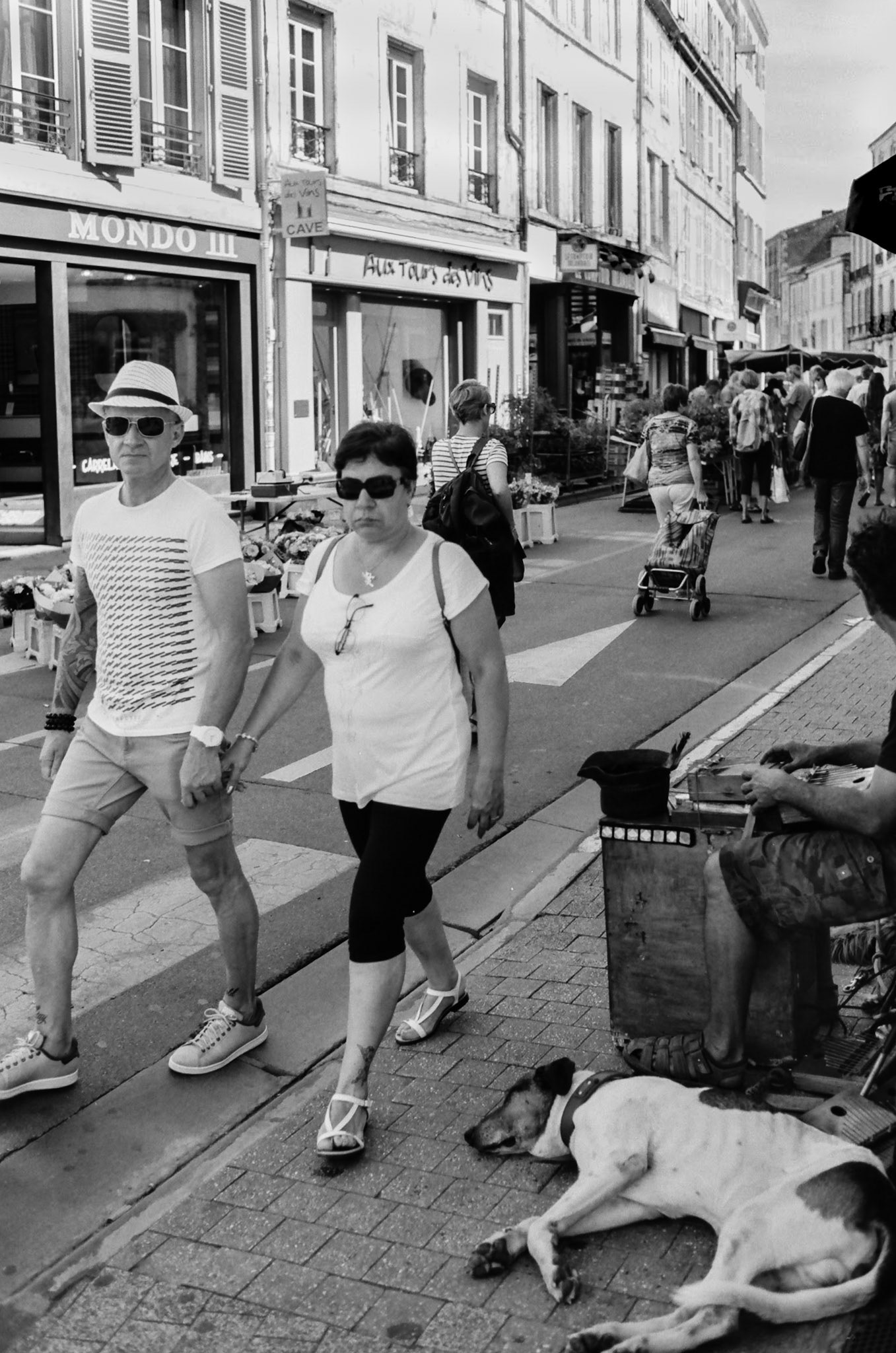 Nikon F100 | La Rochelle - rue passage du Minage - L'indifférence du chien