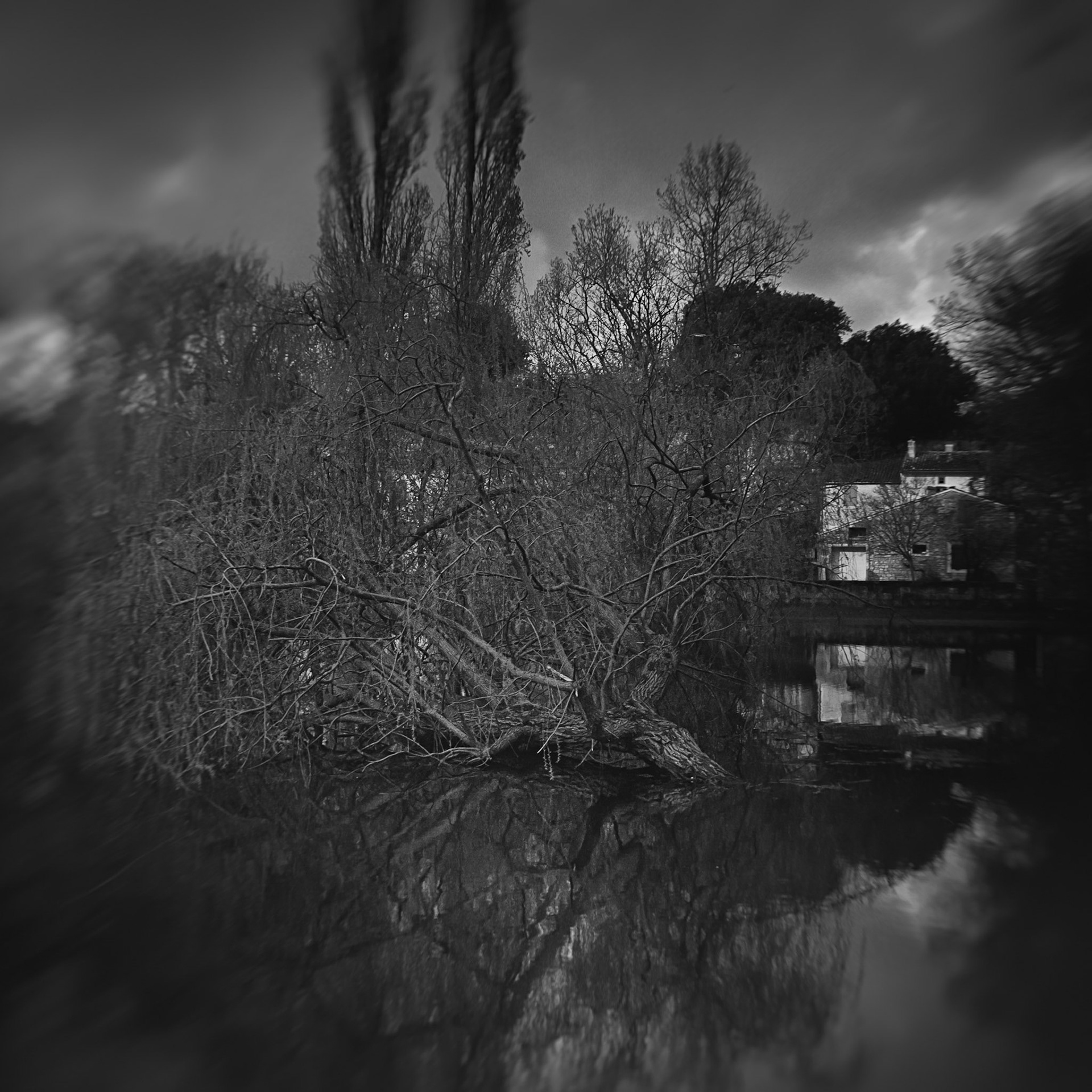 FujifilmX100 - Saint-Savinien - Couché par l'eau !