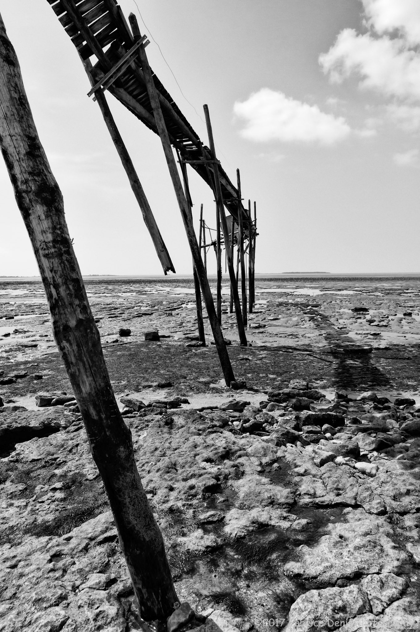 Nikon D300s | Baie d'Yves - Les traces de la tempête xynthia - L'océan ne l'épargne pas
