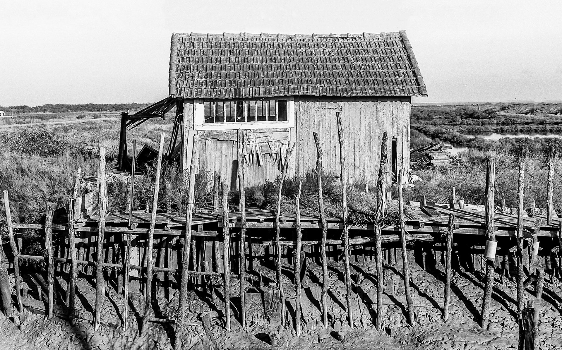 Nikon F100 - Dolus-d'Oléron - Port de la Baudissière - Isolée