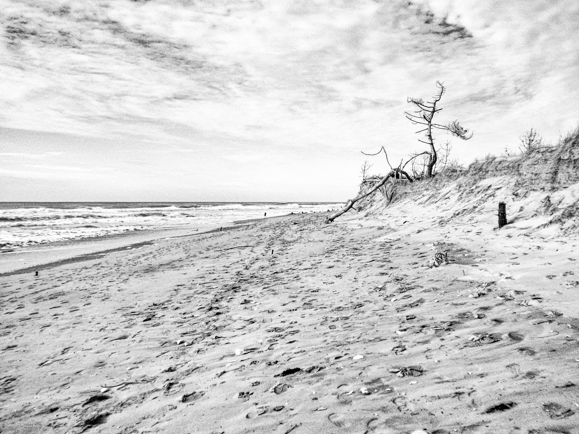 Nikon Coolpix S225 | Île d'Oléron - Plage du Pertuis de Maumusson - "Et s'il n'en reste qu'un, je serai celui-là."