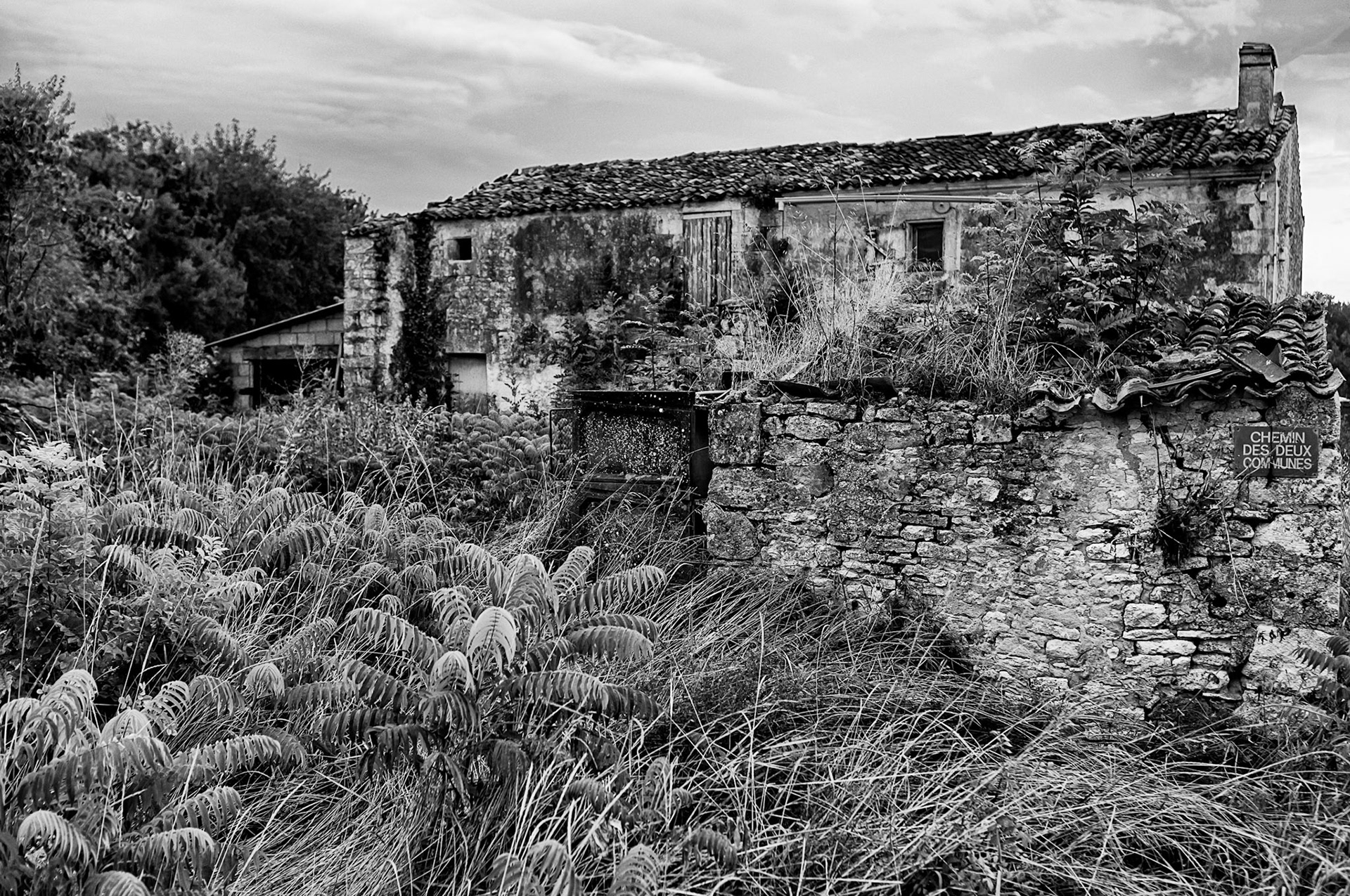 Fujifilm X100 | Archingeay - Chez Fureau