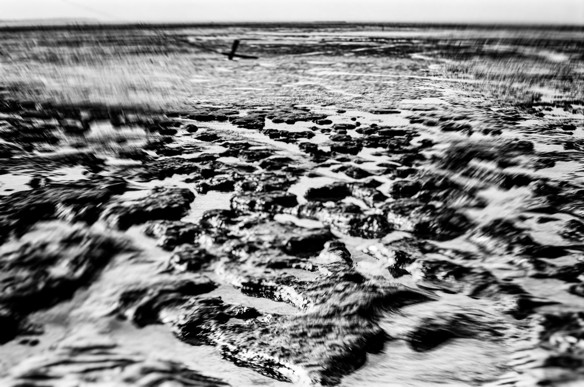 Minolta 7000 | Baie d'Yves - Marée Basse - Je survis dit "le poteaux"