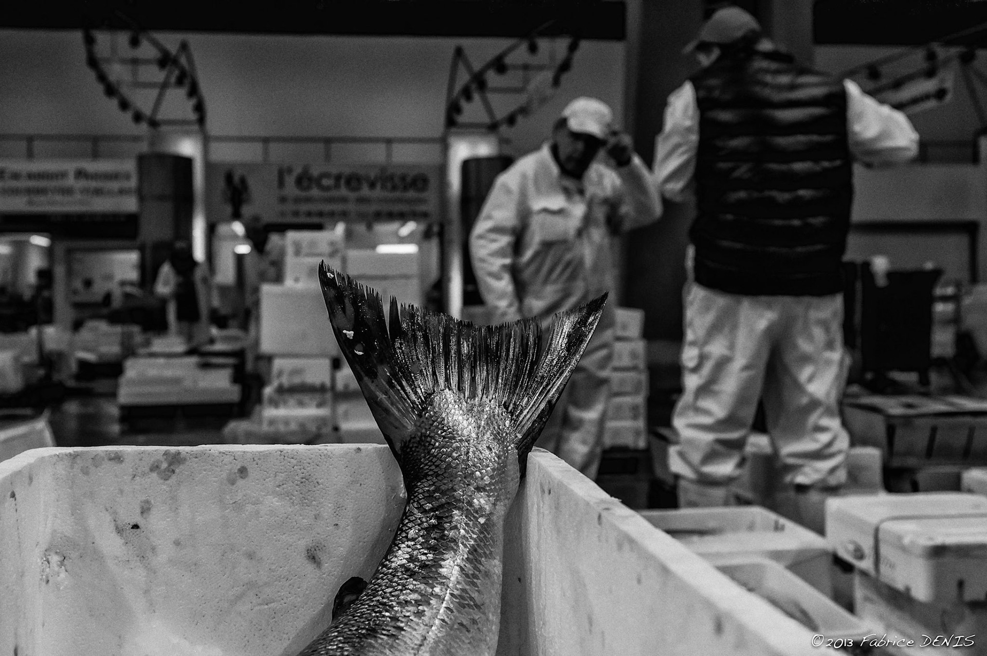 Fujifilm X100 | Marché International de Rungis - Pavillon de la Marée - La Queue !!!