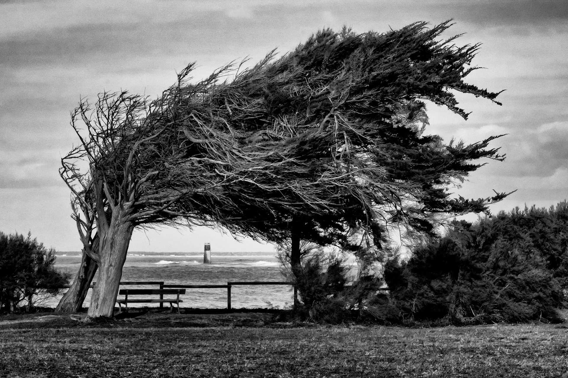 Fujifilm XPro1 | Ile d'Oléron - Pointe de Chassiron - Dans le sens du vent