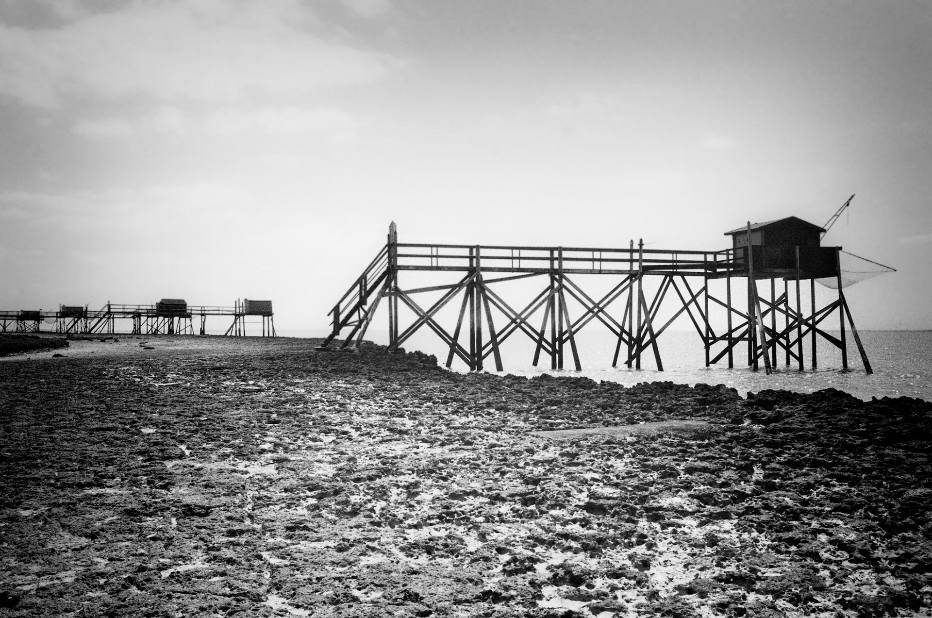 Nikon F100 | Île Madame - Multiplication...