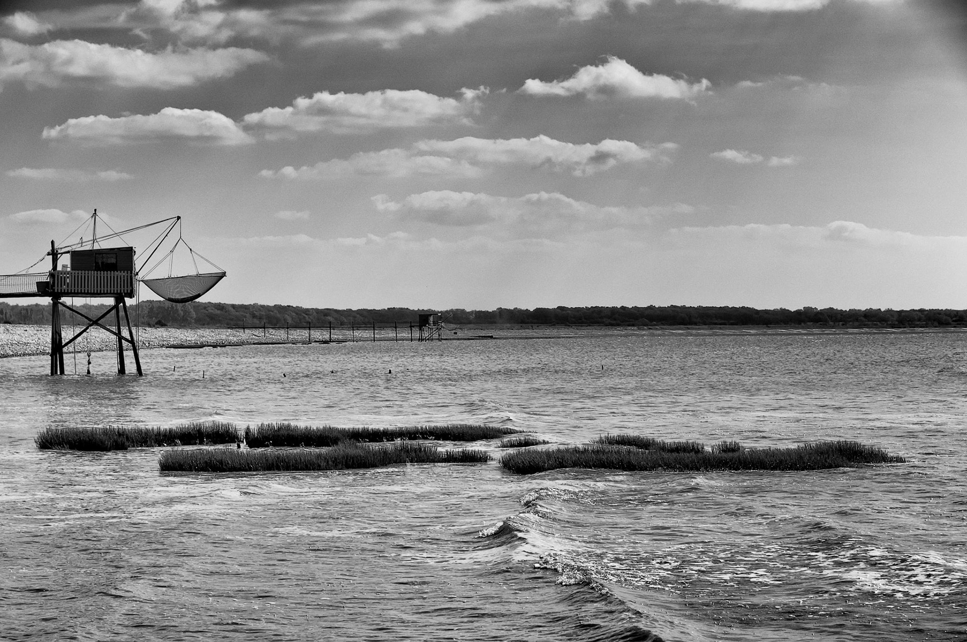 Nikon D300s | Réserve naturelle nationale du marais d'Yves - Végétation marine