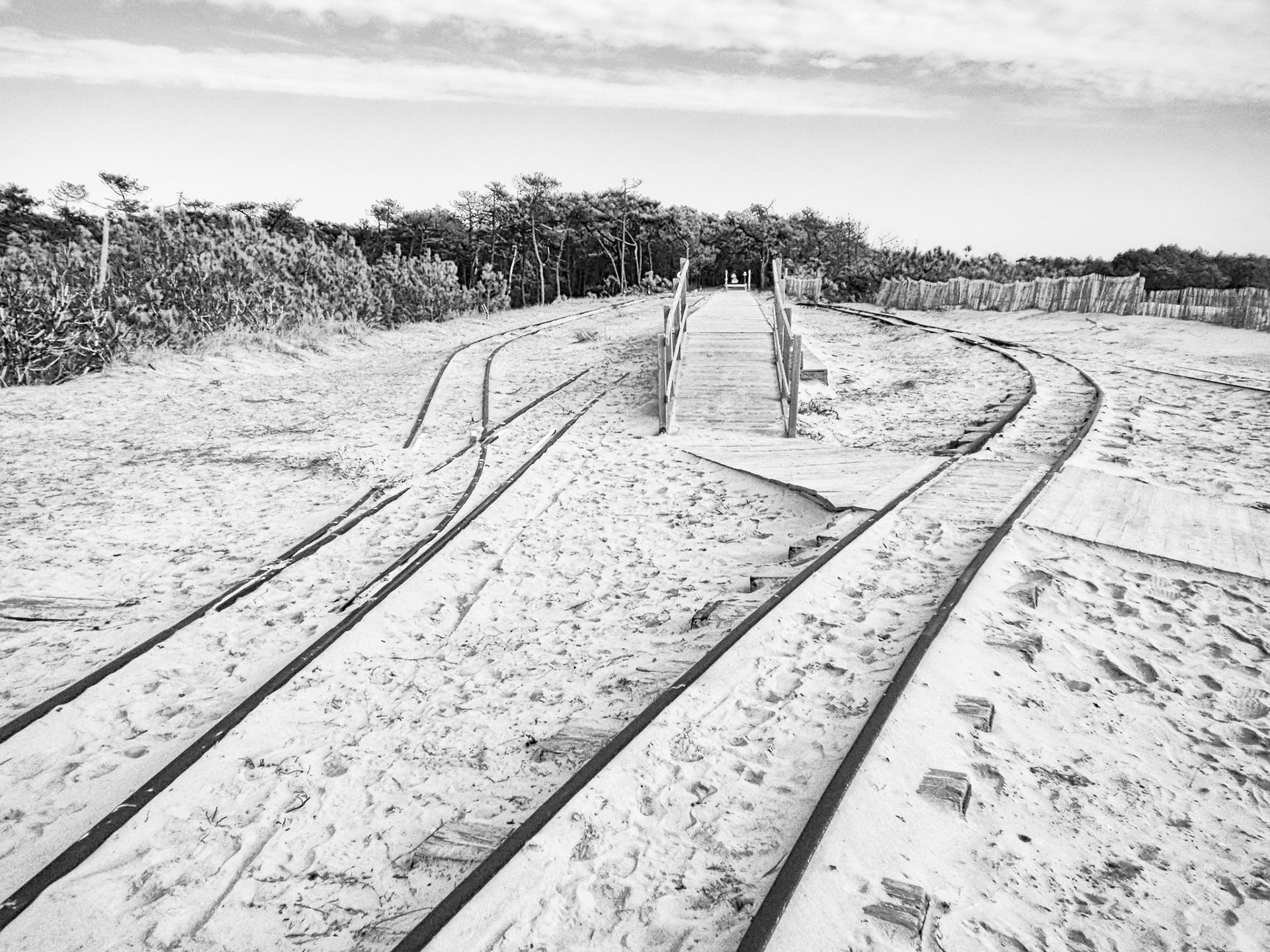 Nikon Coolpix S225 | Île d'Oléron - Terminus à la gare de Maumusson - Le bout du tunnel végétal