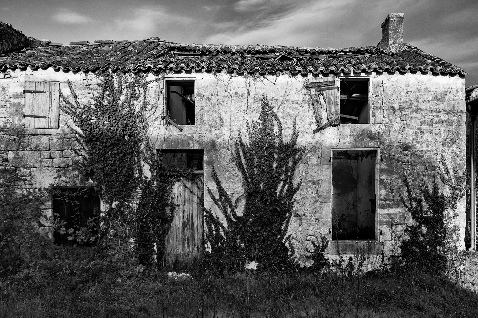 Archingeay - Lieu dit Charnais