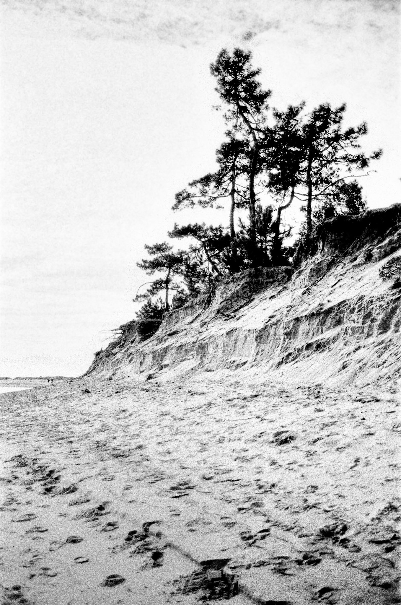 Nikon F100 | Ile d'Oléron - Plage de Gatseau - Nous disparaîtront bientôt !!!