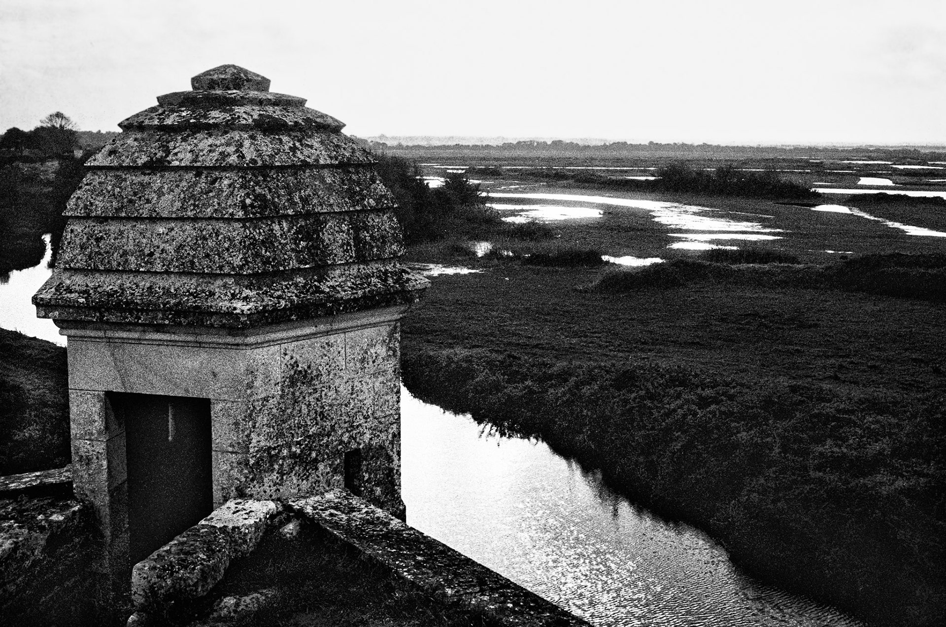 Nikon F100 | Brouage - Le marais