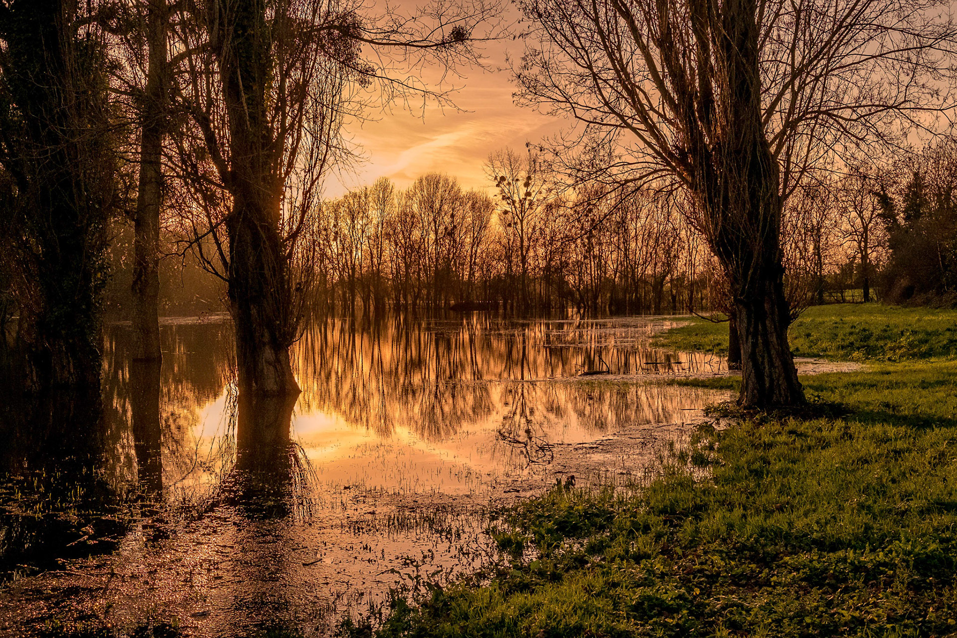 Fujifilm X-Pro1 | Tonnay-Boutonne - La Boutonne - Inondations 2019