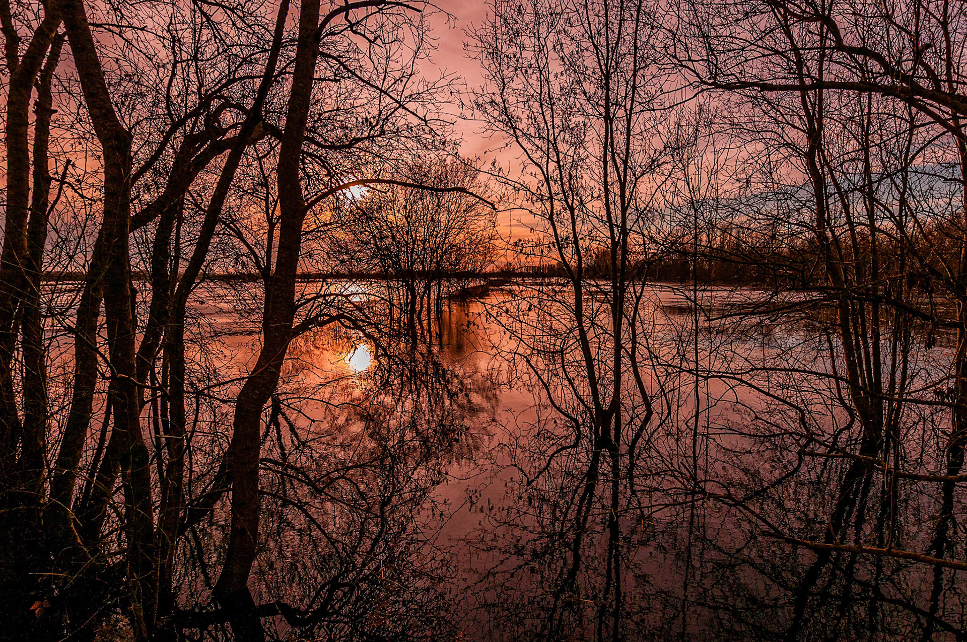 Nikon D300s | Tonnay-Boutonne - La Boutonne sort de son lit