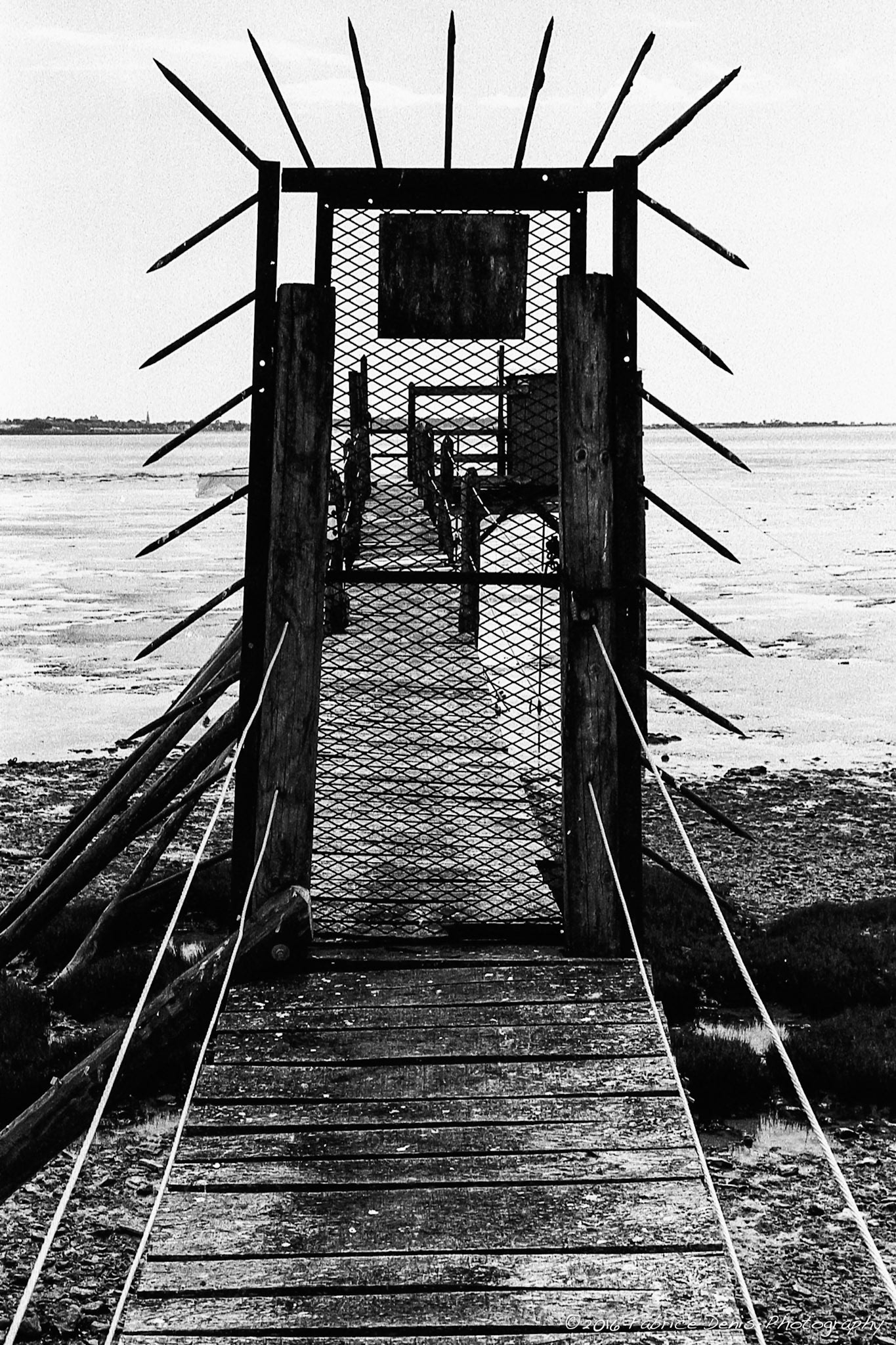 Canon FTB | Baie d'Yves - Une entrée qui ne manque pas de piquants