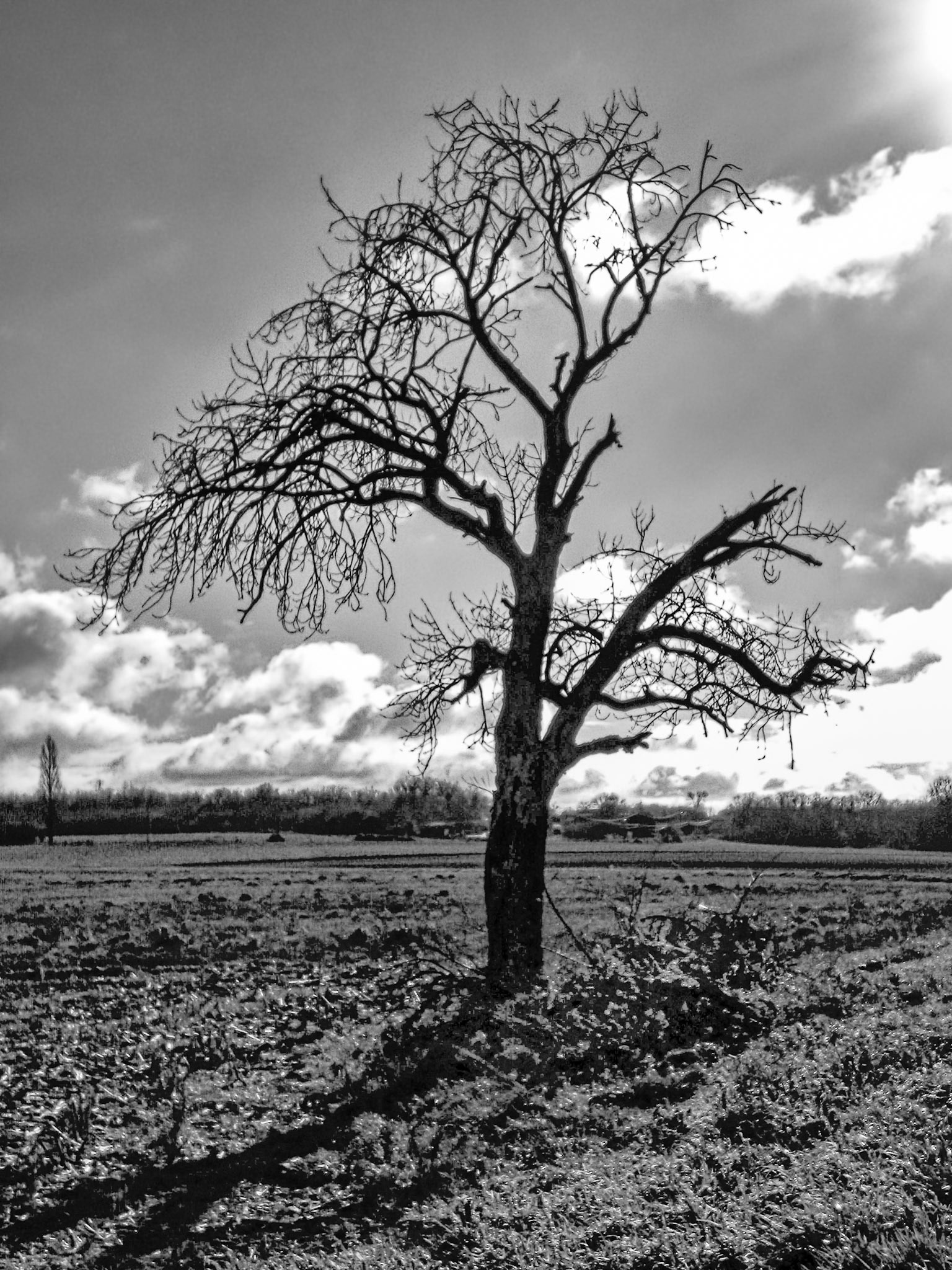 Nikon Coolpix S225 | Archingeay - Amputer