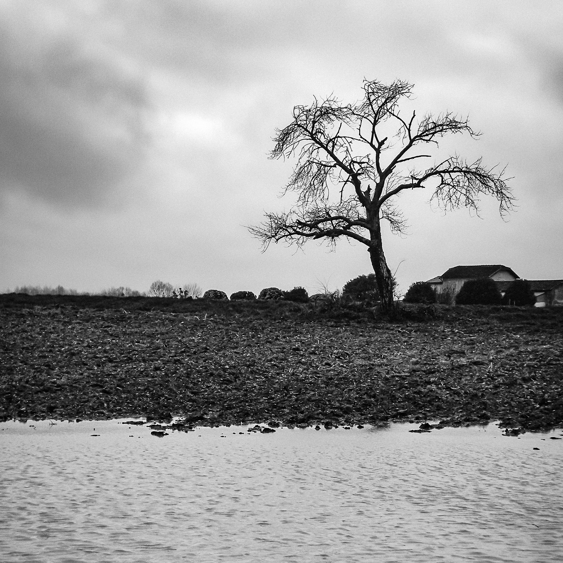 Nikon Coolpix S225 - Archingeay - Champ inondé - Que d'eau !!!