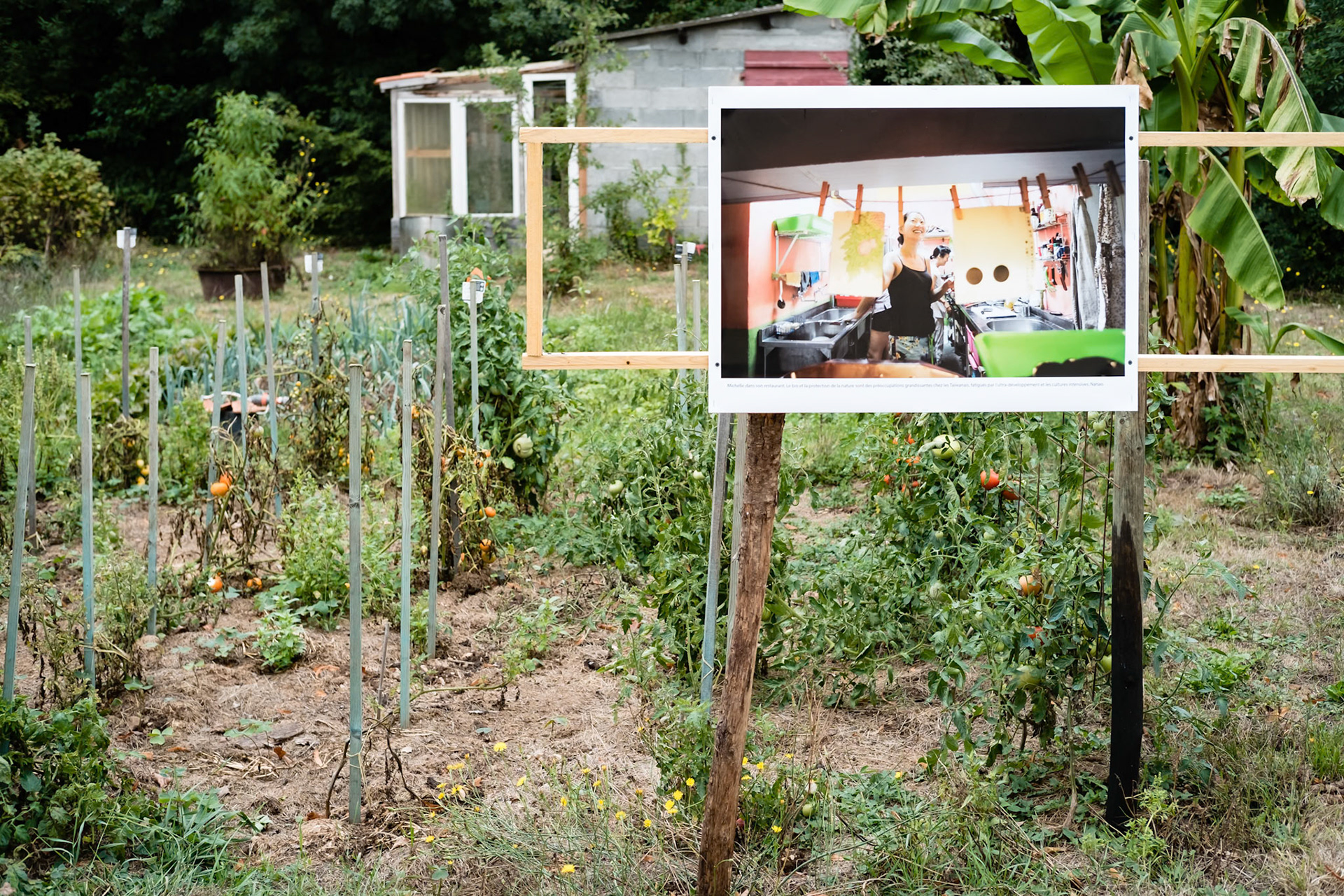 Fujifilm X-Pro1 | Festival BarrObjectif 2016 - Au potager