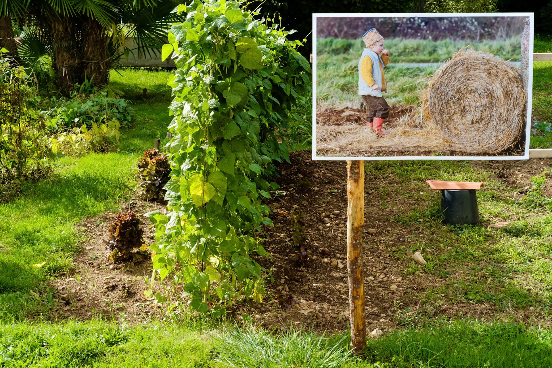 Fujifilm X-Pro1 | Festival BarrObjectif 2017 - L'atypisme du Festival