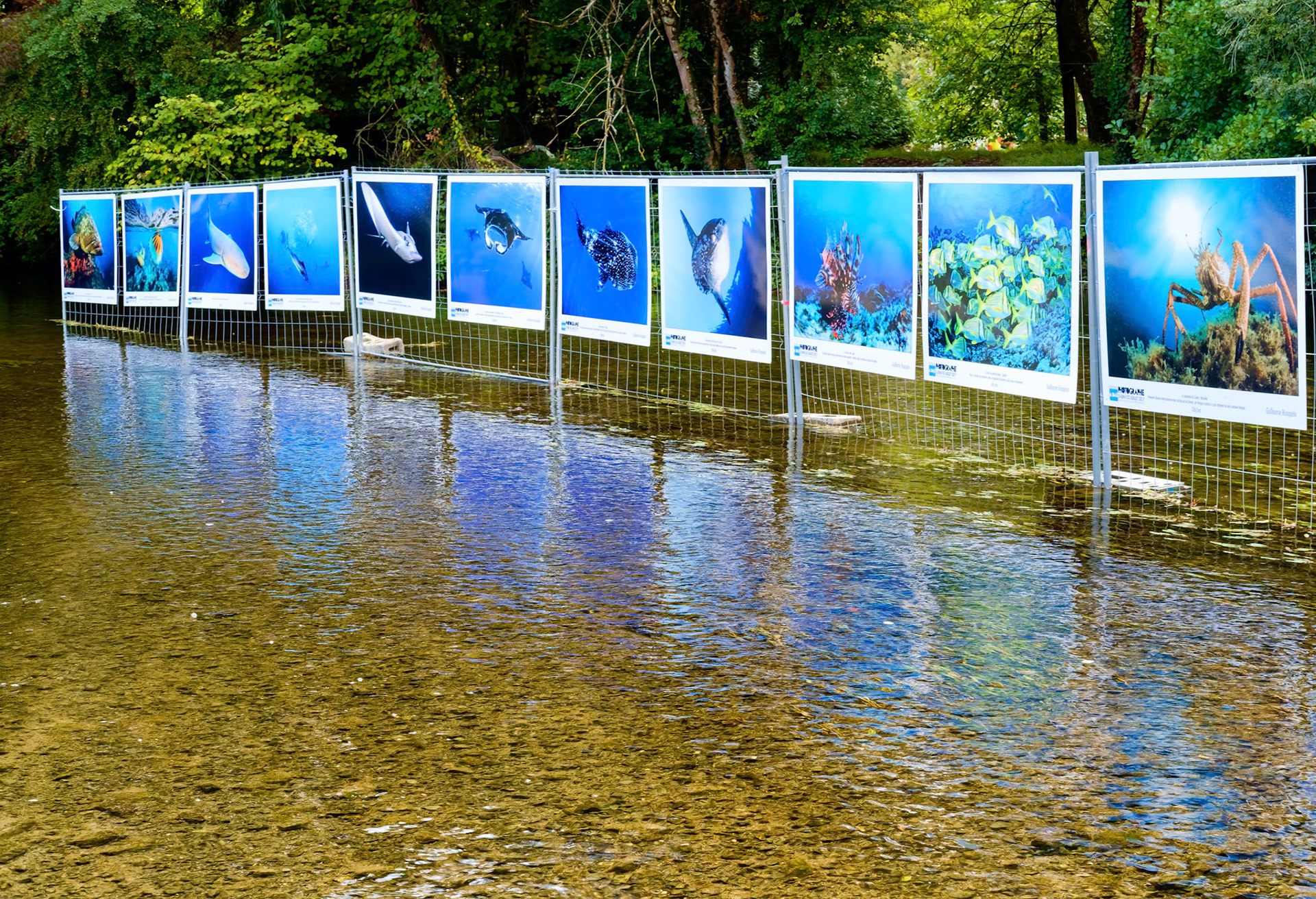 Fujifilm X-Pro1 | Festival BarrObjectif 2017 - L'atypisme du Festival