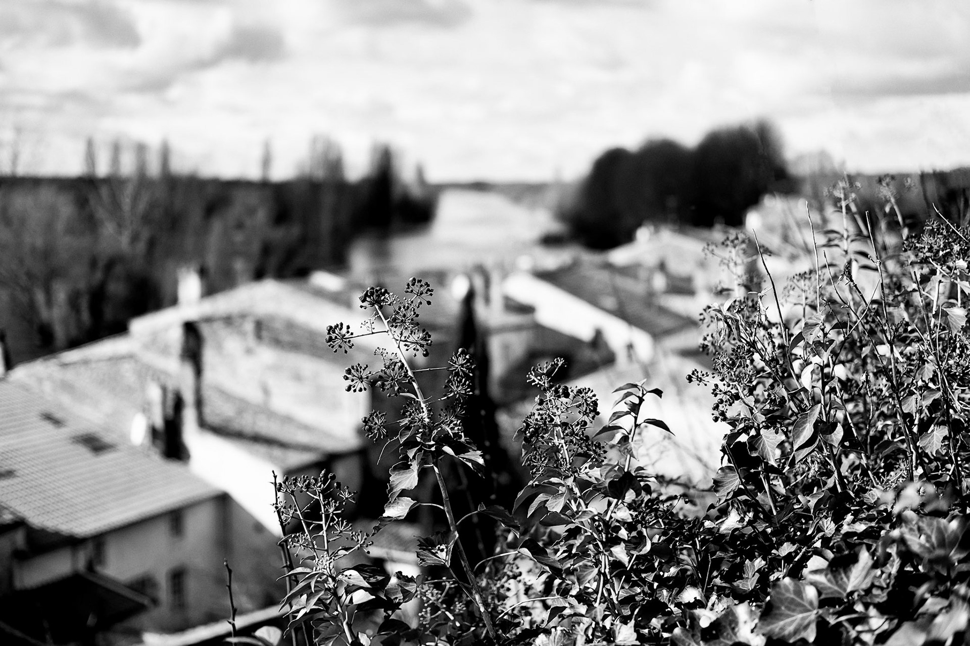 Fujifilm X-Pro1 | Saint-Savinien-sur-Charente - Les toits