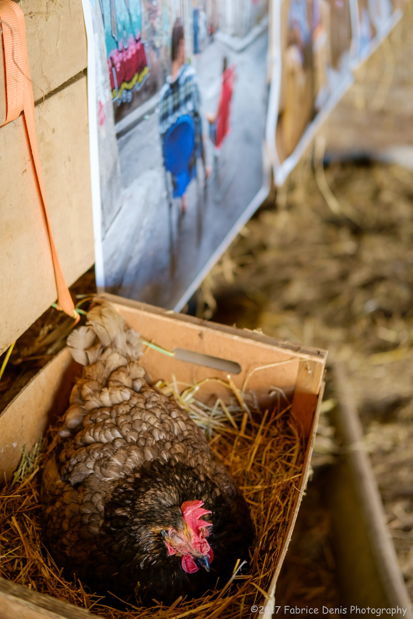 Fujifilm X-Pro1 | Festival BarrObjectif 2017 - L'atypisme du Festival