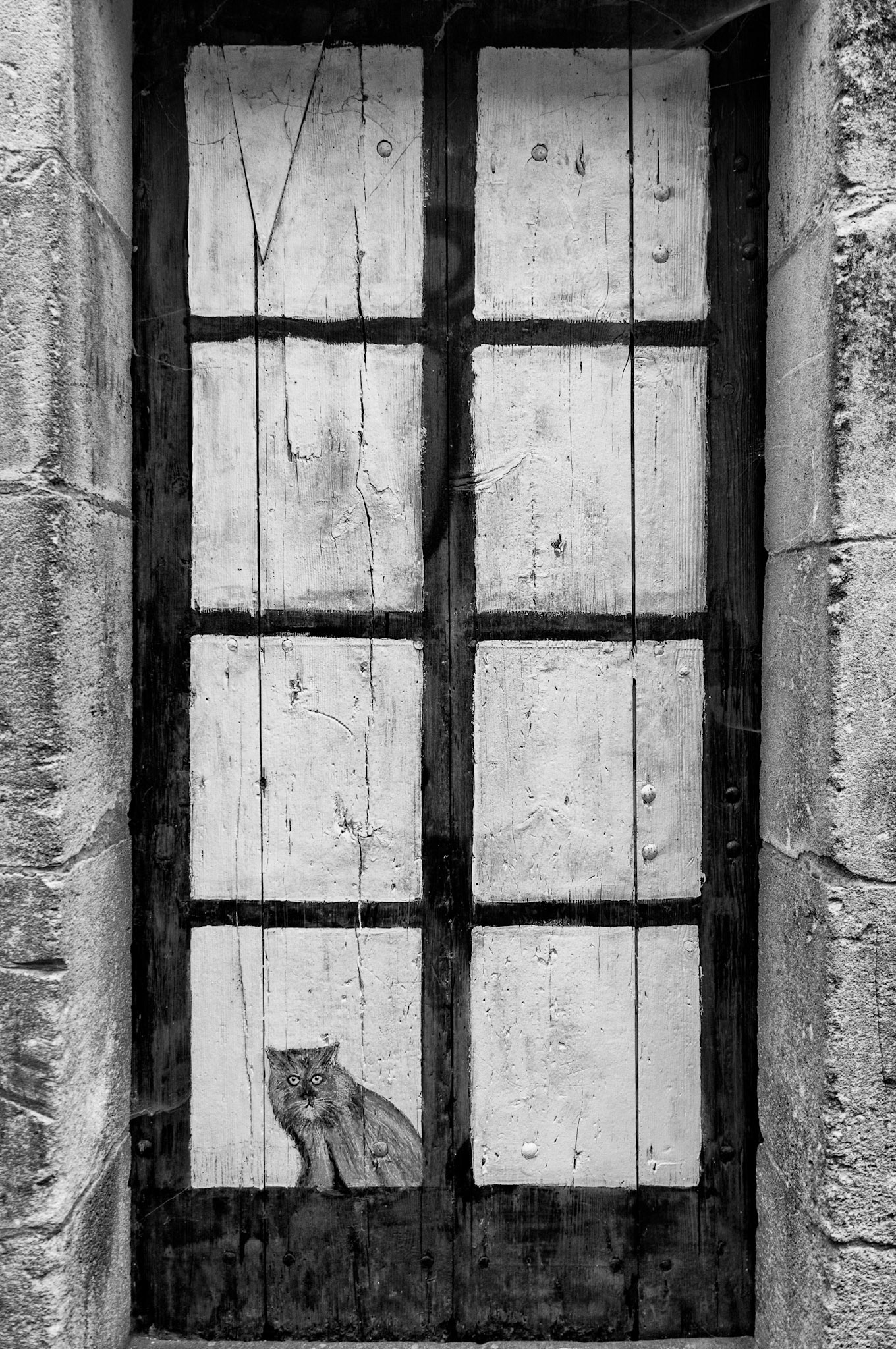 Nikon D300s | Saint-Savinien-sur-Charente - Le Chat de la rue Rose