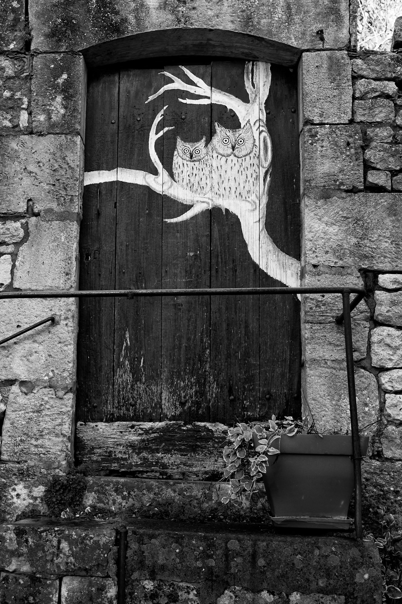 Fujifilm X-Pro1 | Saint-Savinien-sur-Charente - Ruelle Rose - Chouettes alors !!!